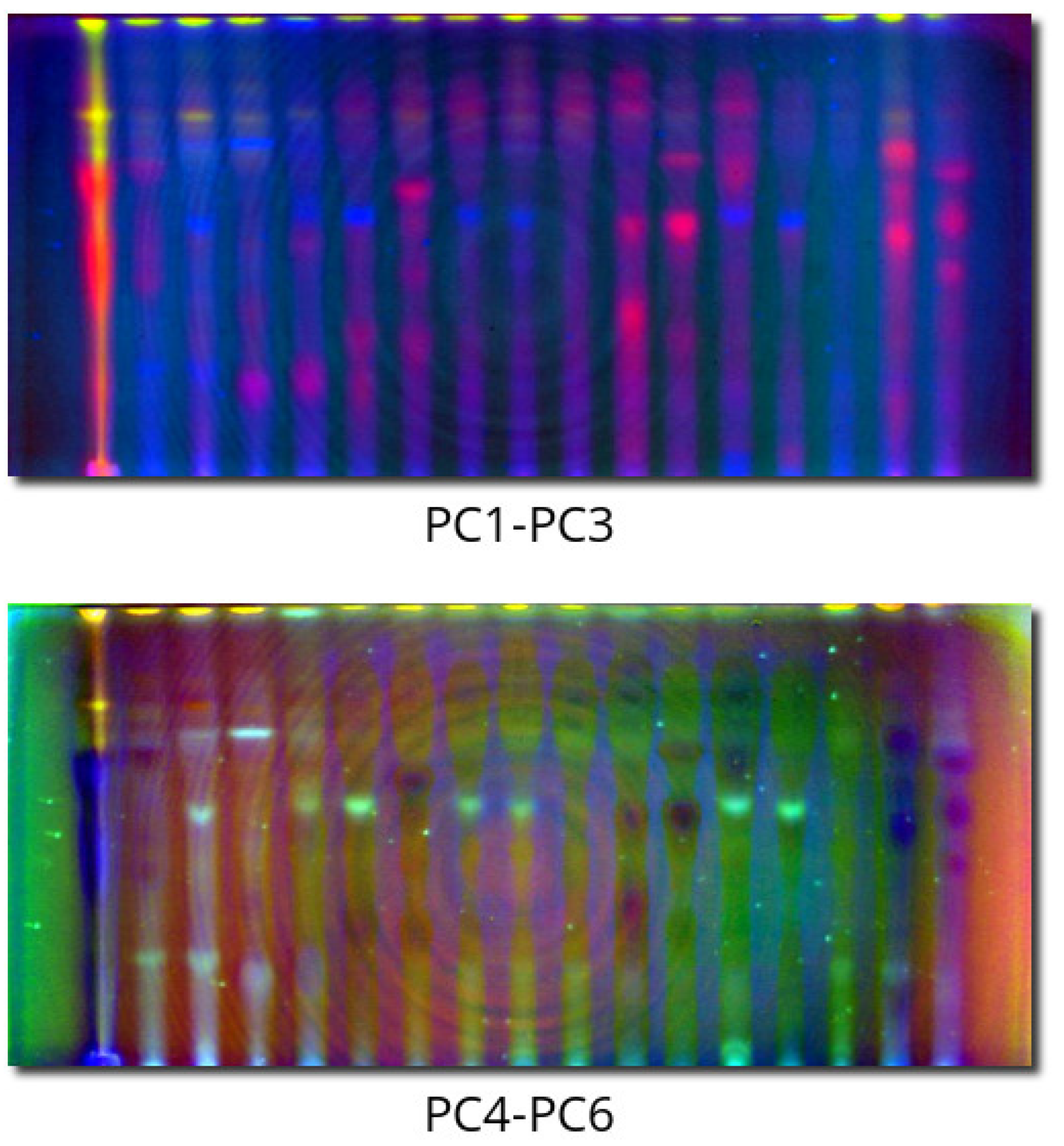 Molecules 28 03745 g004