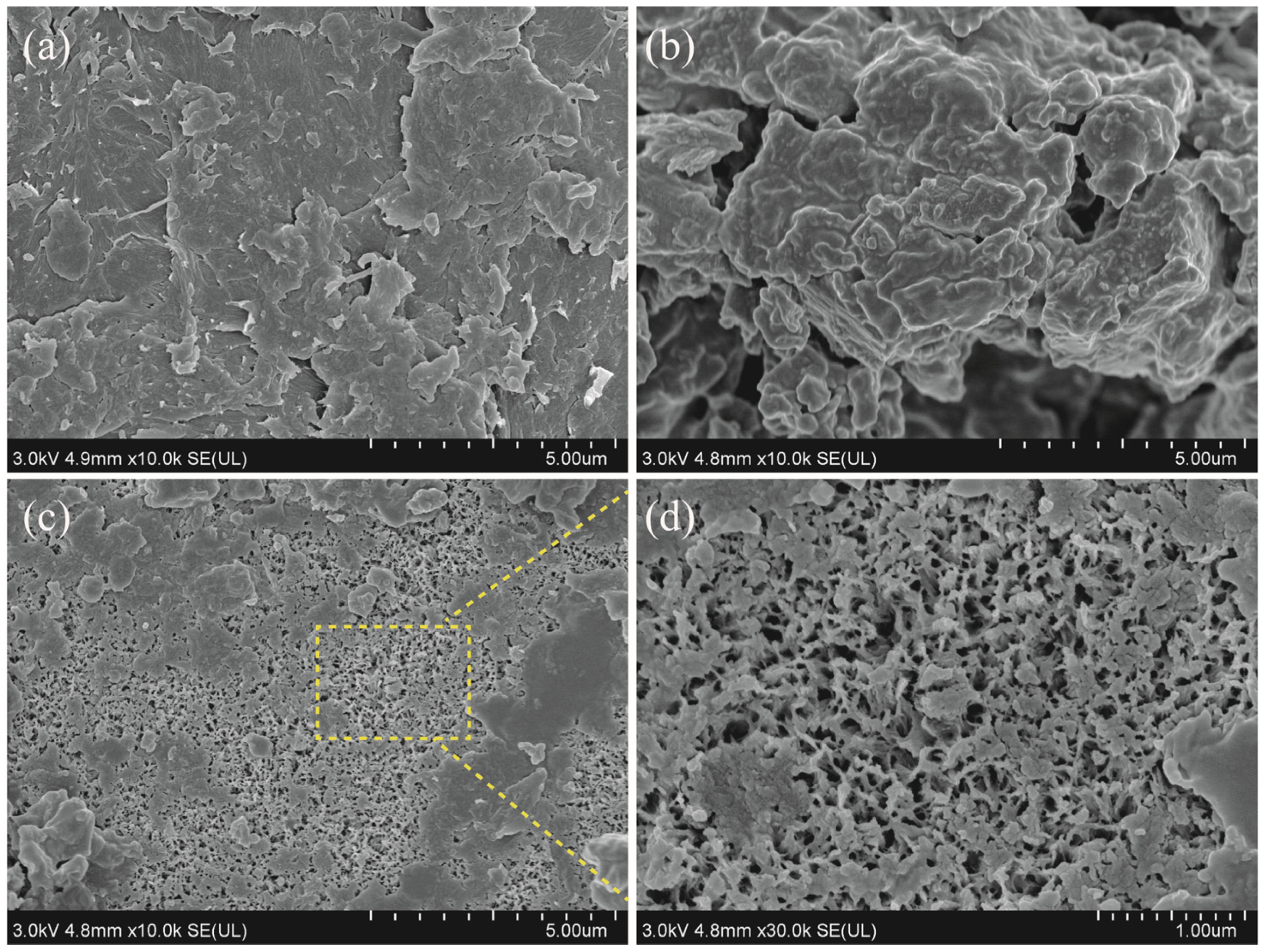 Molecules 28 03761 g003