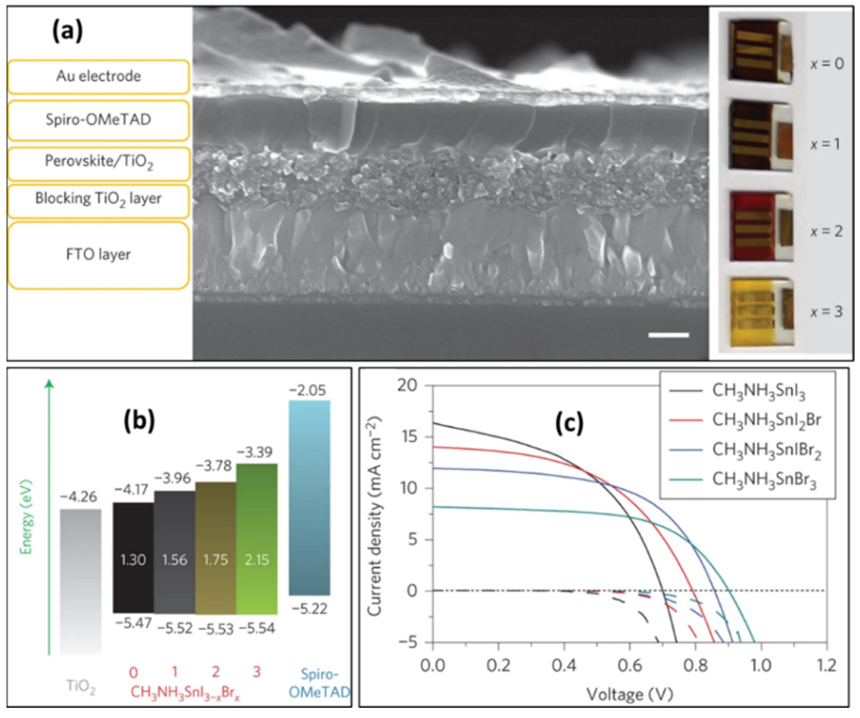 Molecules 28 03787 g004 Molecules 28 03787 g004