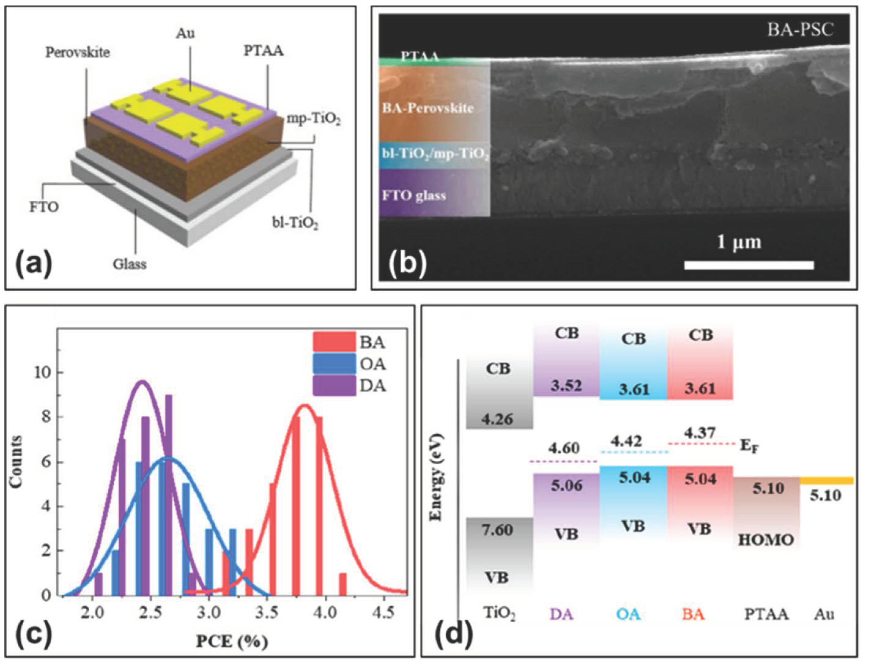 Molecules 28 03787 g006 Molecules 28 03787 g006