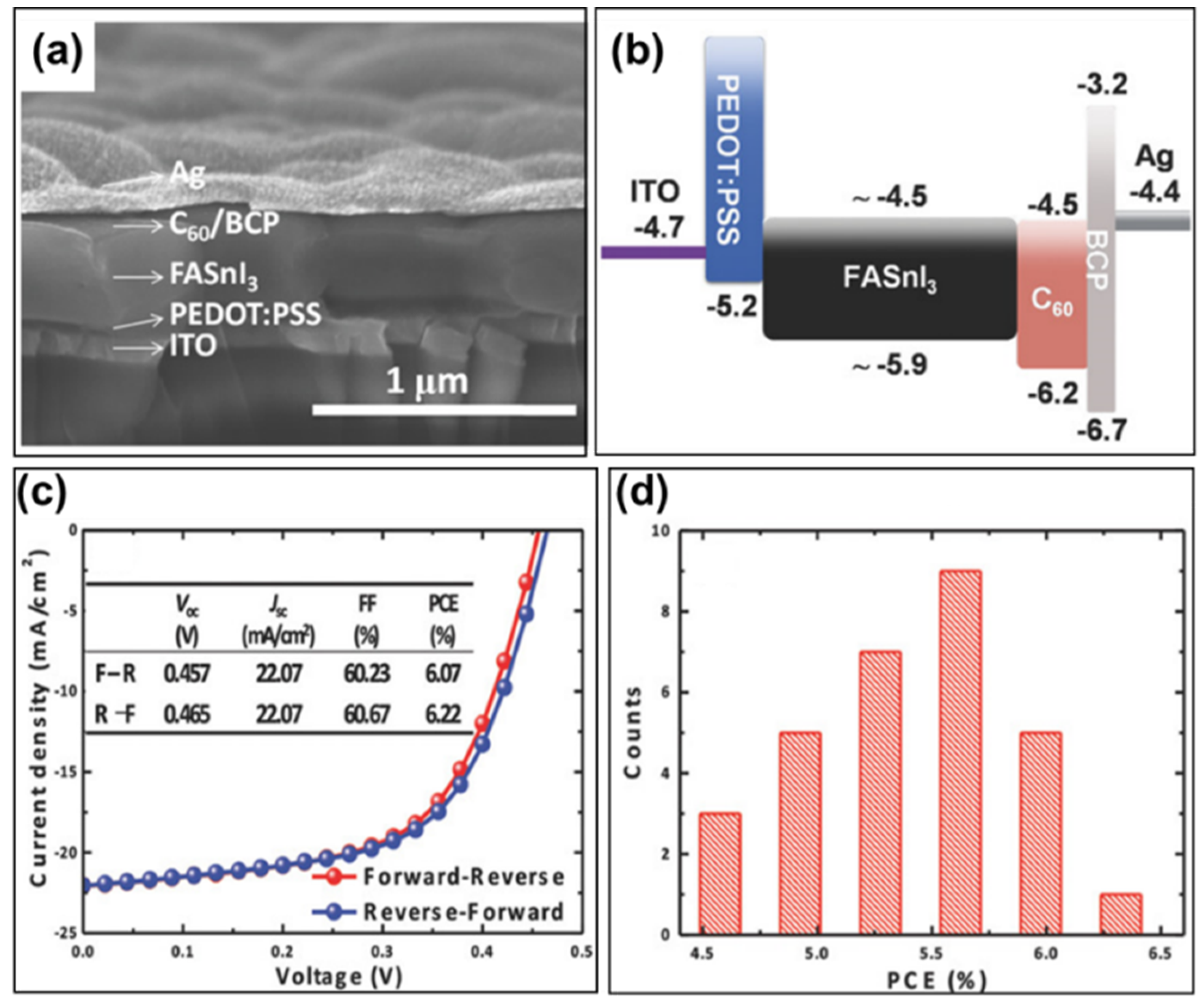 Molecules 28 03787 g014 Molecules 28 03787 g014