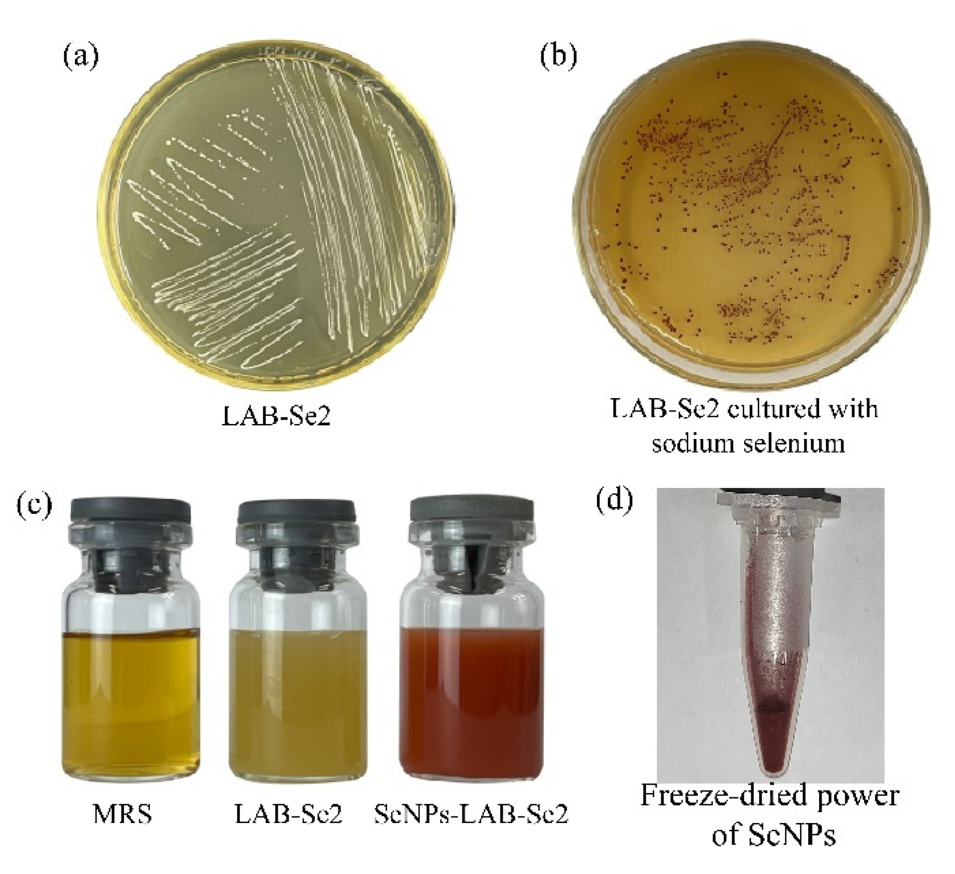 Molecules 28 03793 g006