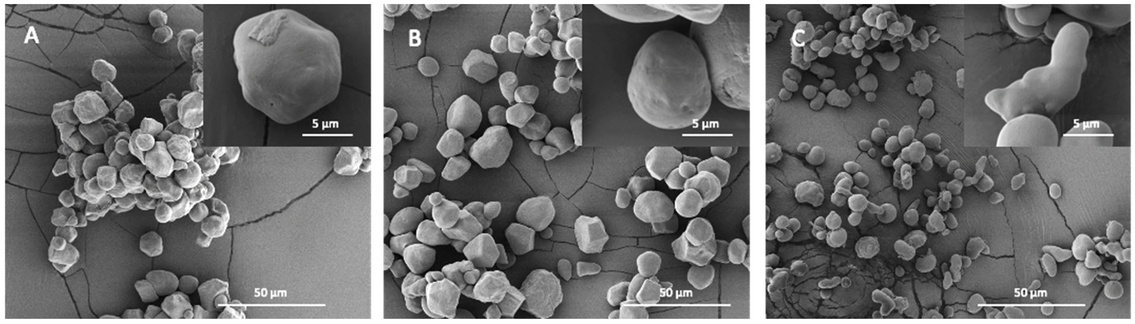 Molecules 28 03799 g002