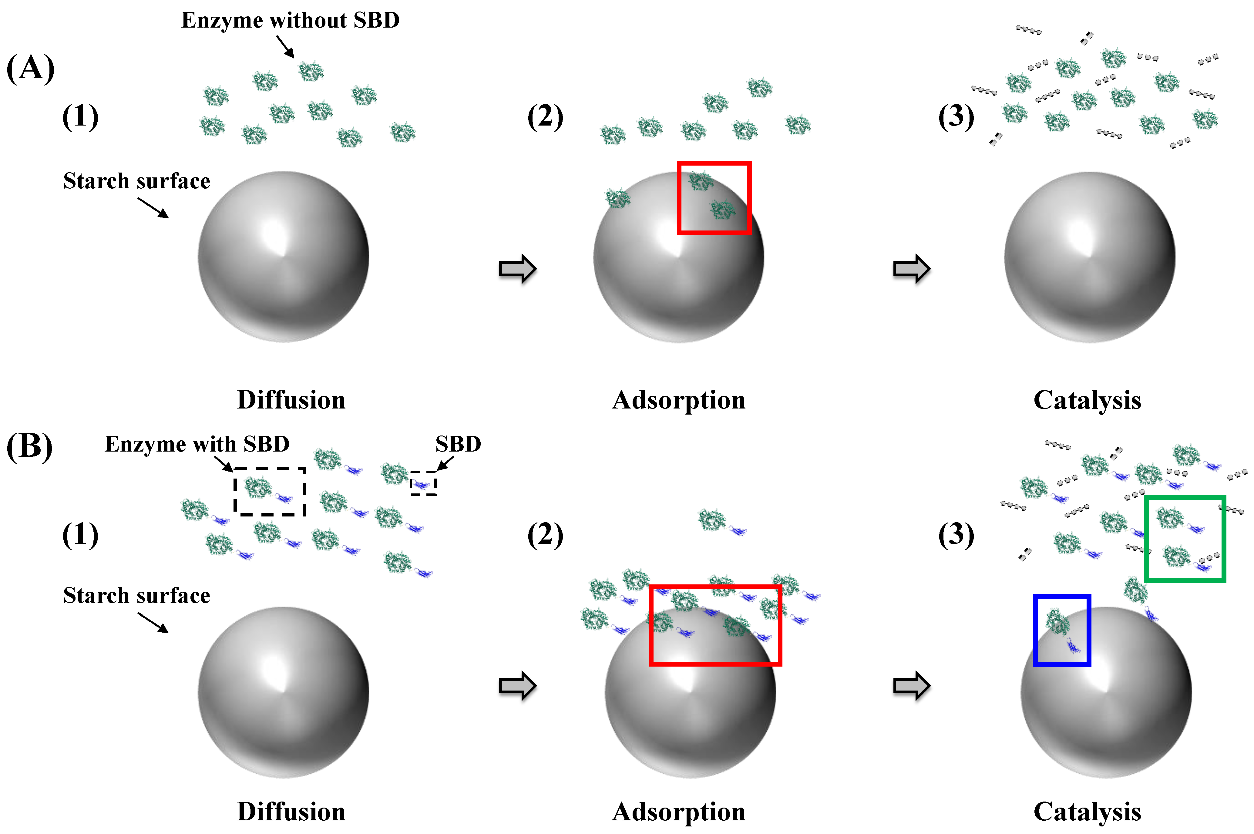 Molecules 28 03799 g003