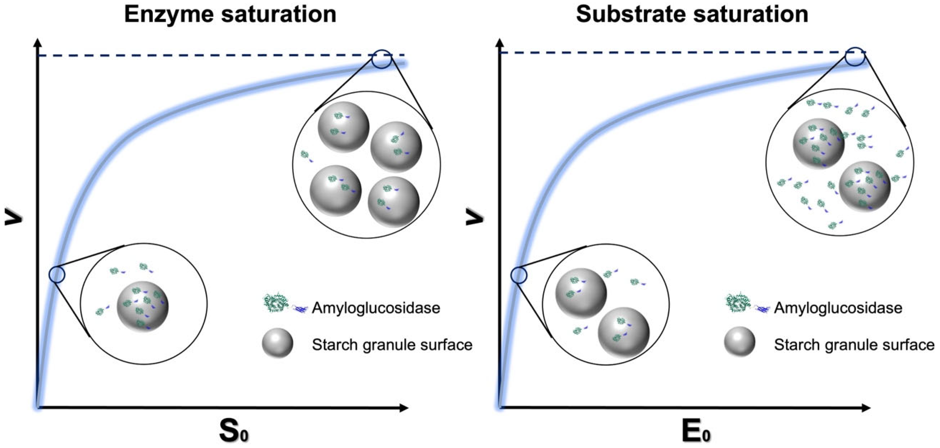 Molecules 28 03799 g007