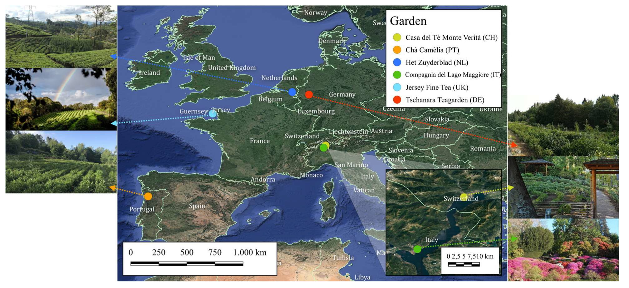 Molecules 28 03802 g005 Molecules 28 03802 g005