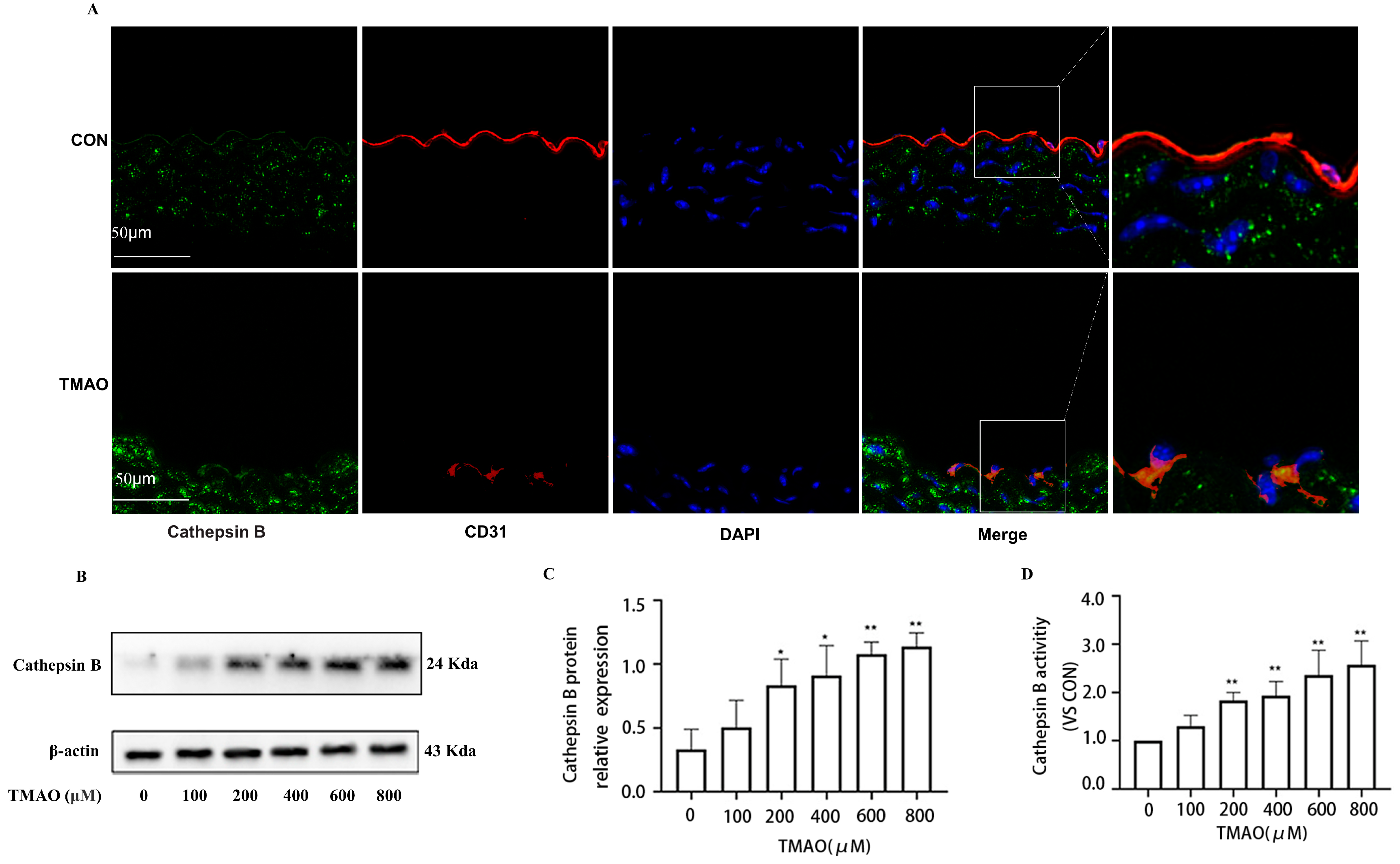 Molecules 28 03817 g003 Molecules 28 03817 g003