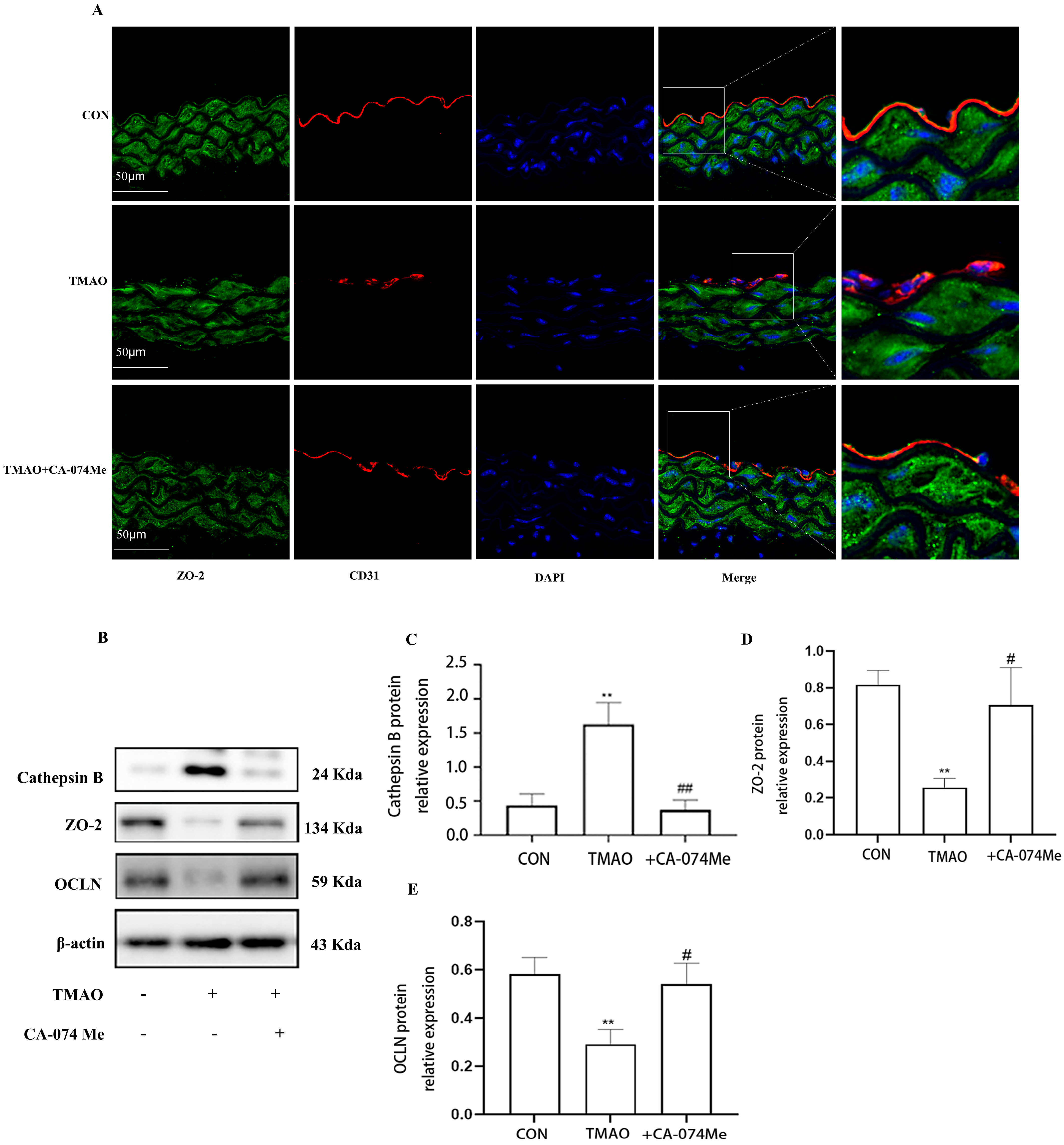 Molecules 28 03817 g004 Molecules 28 03817 g004