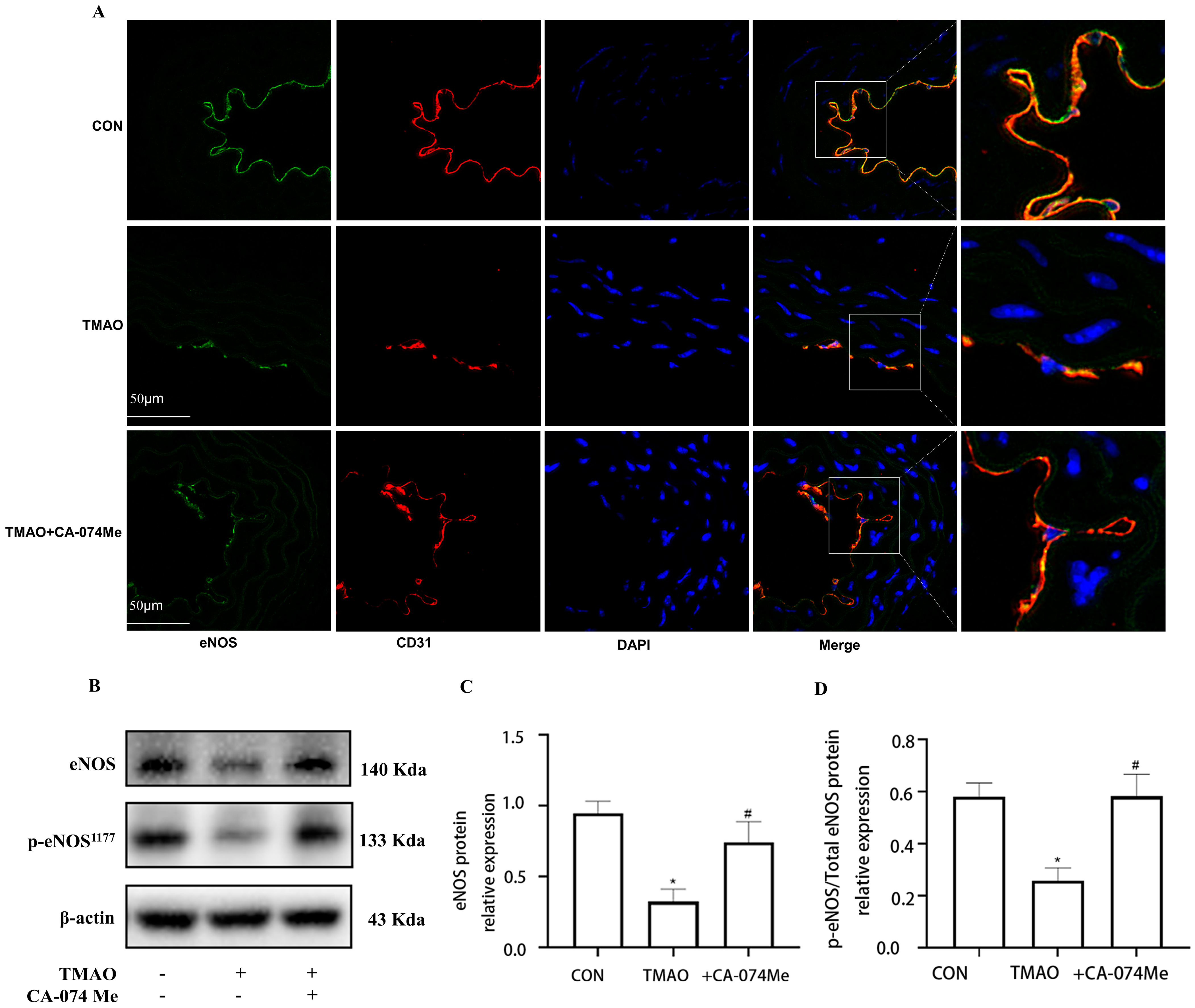 Molecules 28 03817 g005 Molecules 28 03817 g005