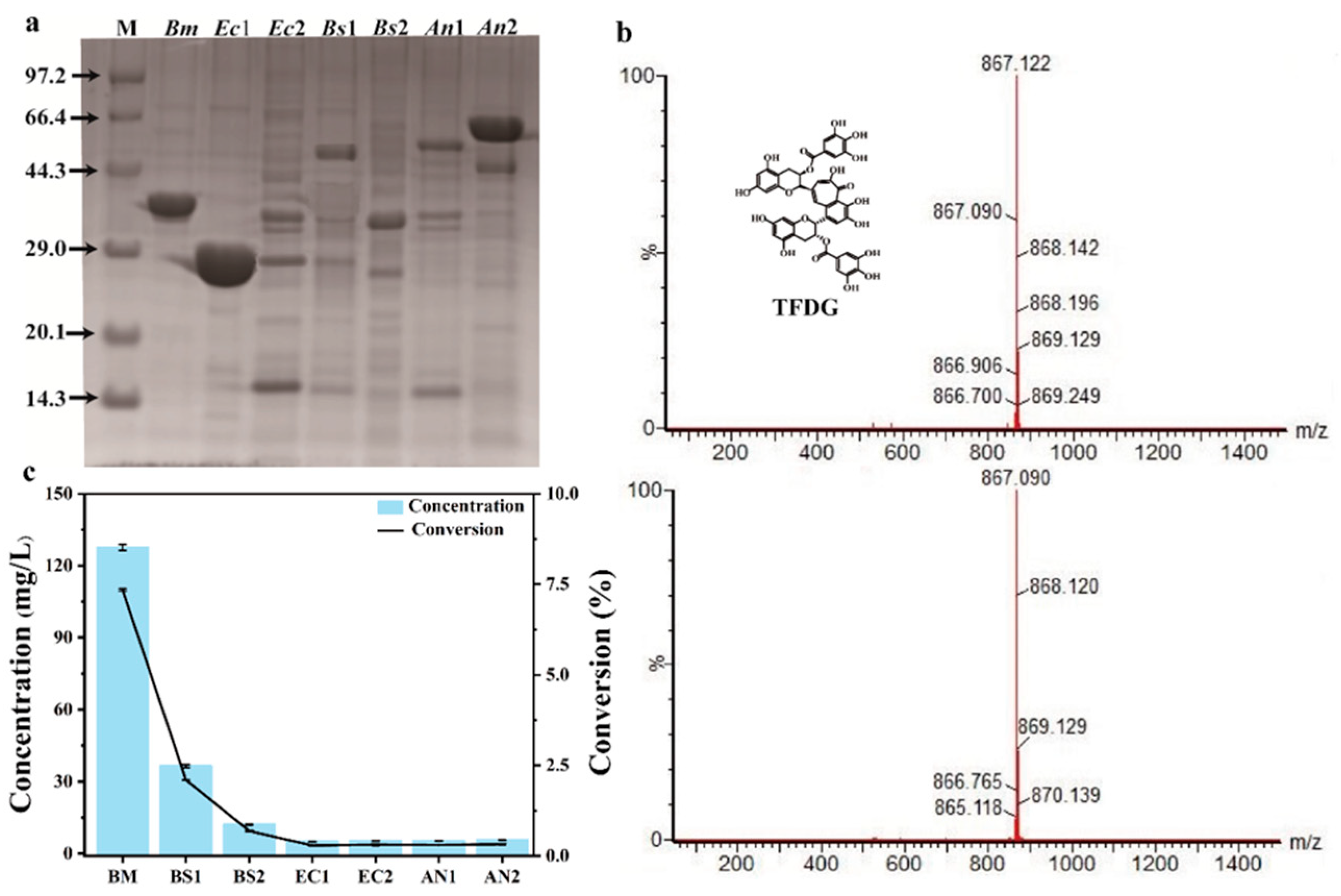 Molecules 28 03831 g001 Molecules 28 03831 g001