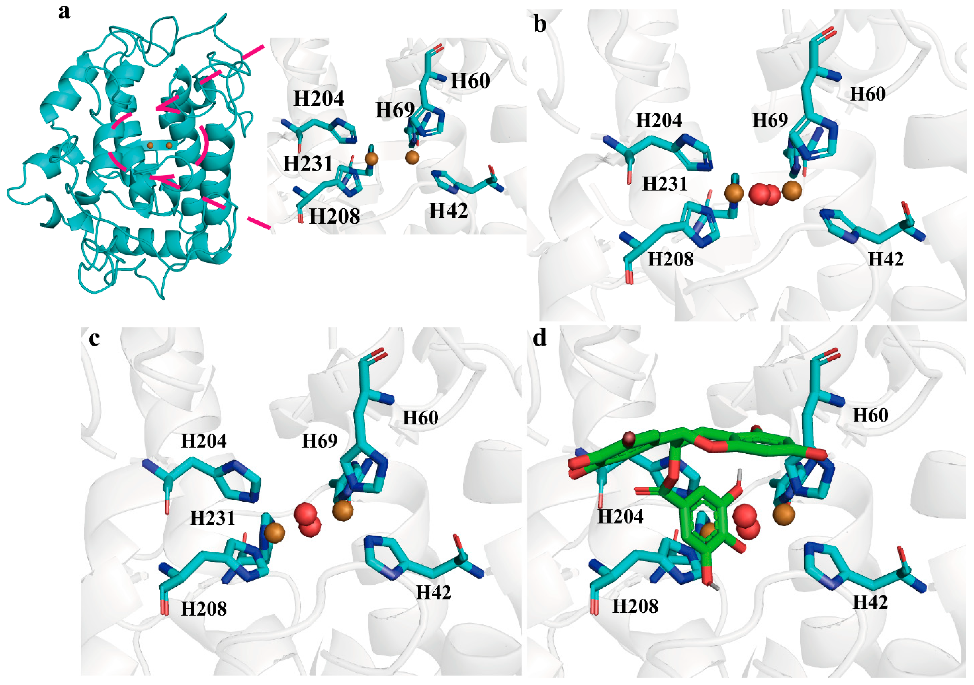 Molecules 28 03831 g002 Molecules 28 03831 g002