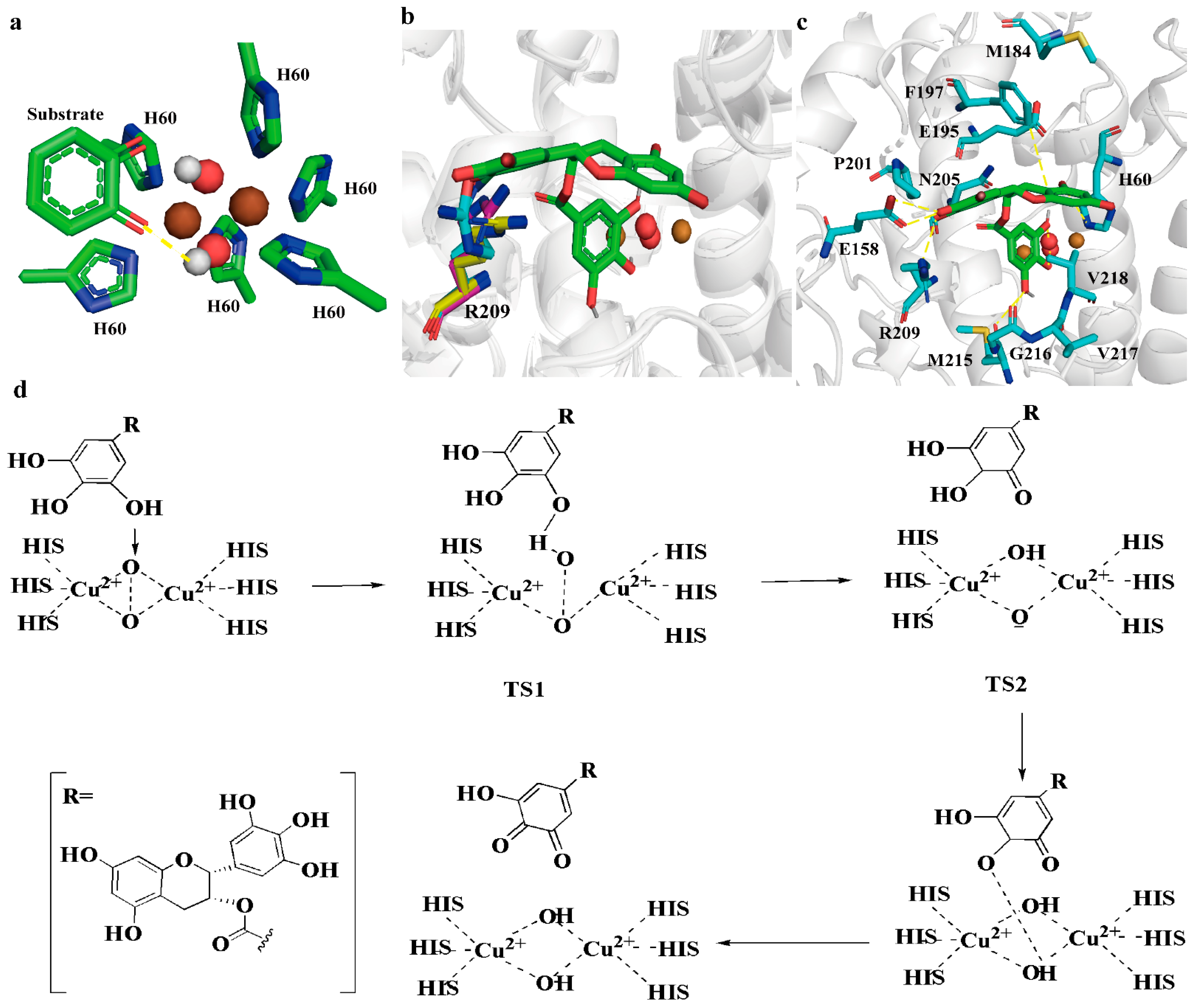 Molecules 28 03831 g003 Molecules 28 03831 g003