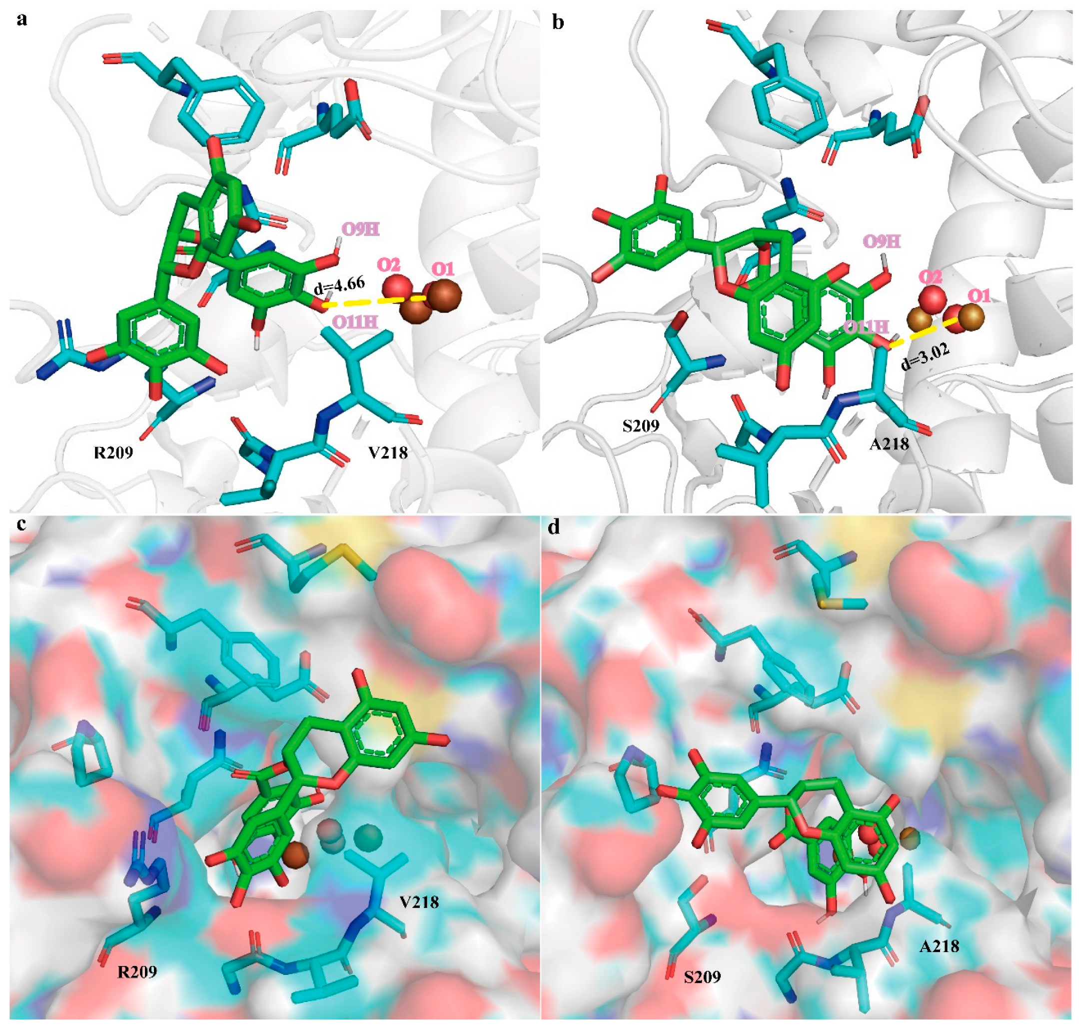 Molecules 28 03831 g005 Molecules 28 03831 g005