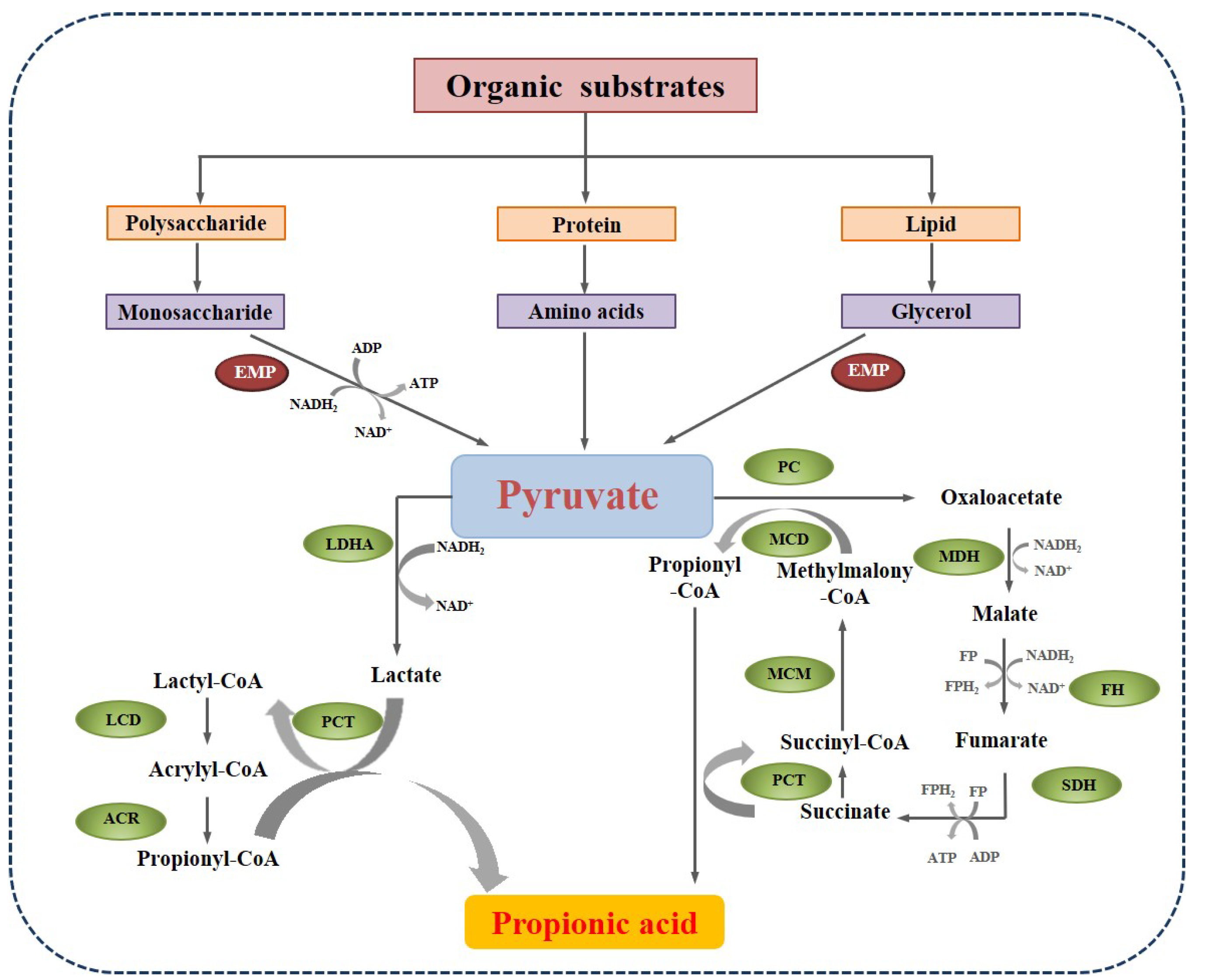 Molecules 28 03883 g003 Molecules 28 03883 g003