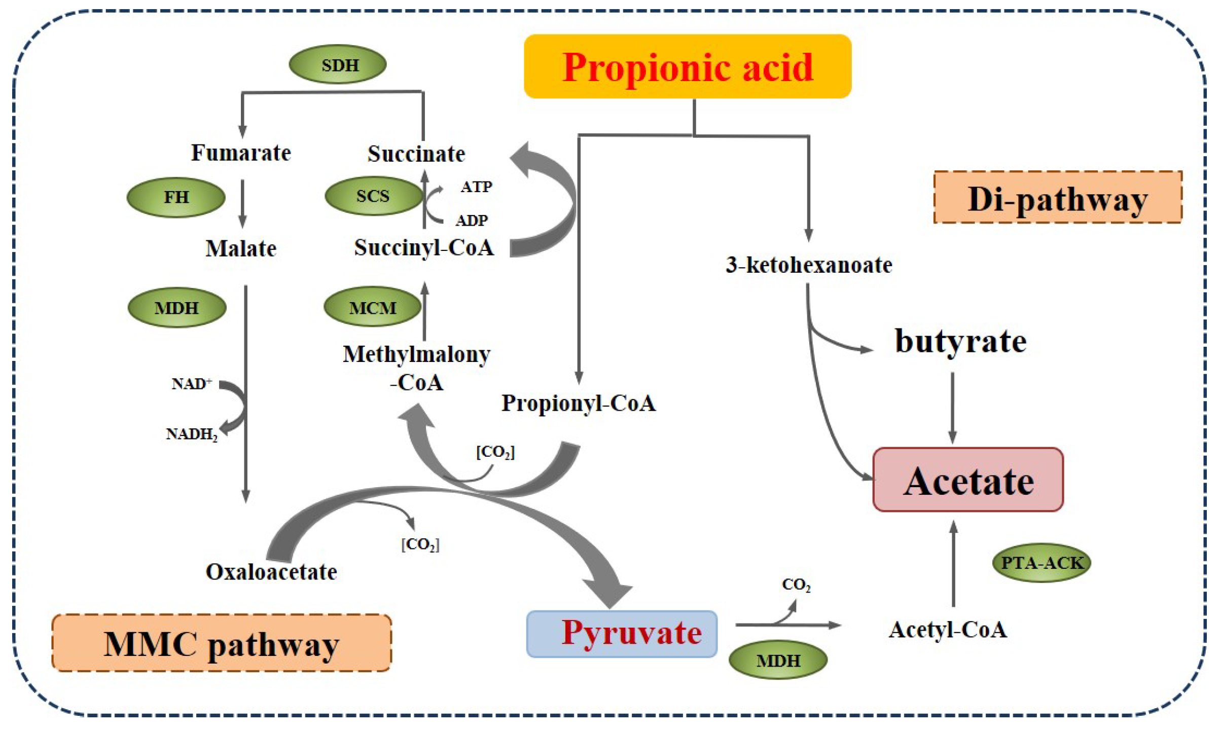 Molecules 28 03883 g004 Molecules 28 03883 g004