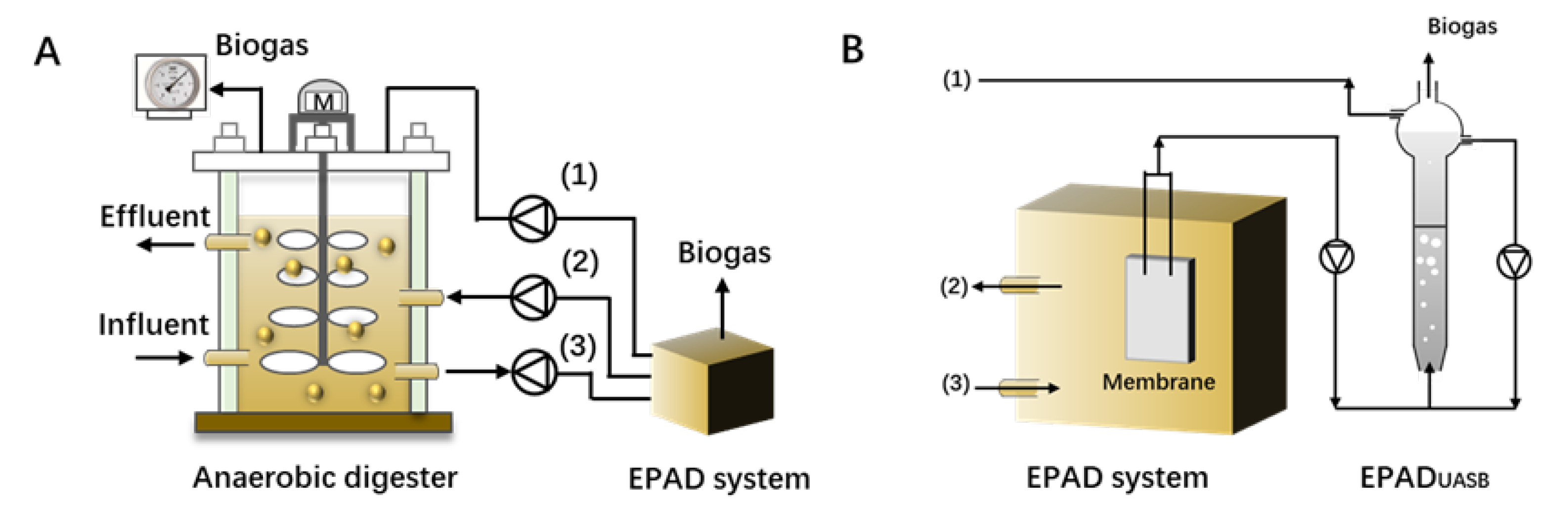 Molecules 28 03883 g005 Molecules 28 03883 g005