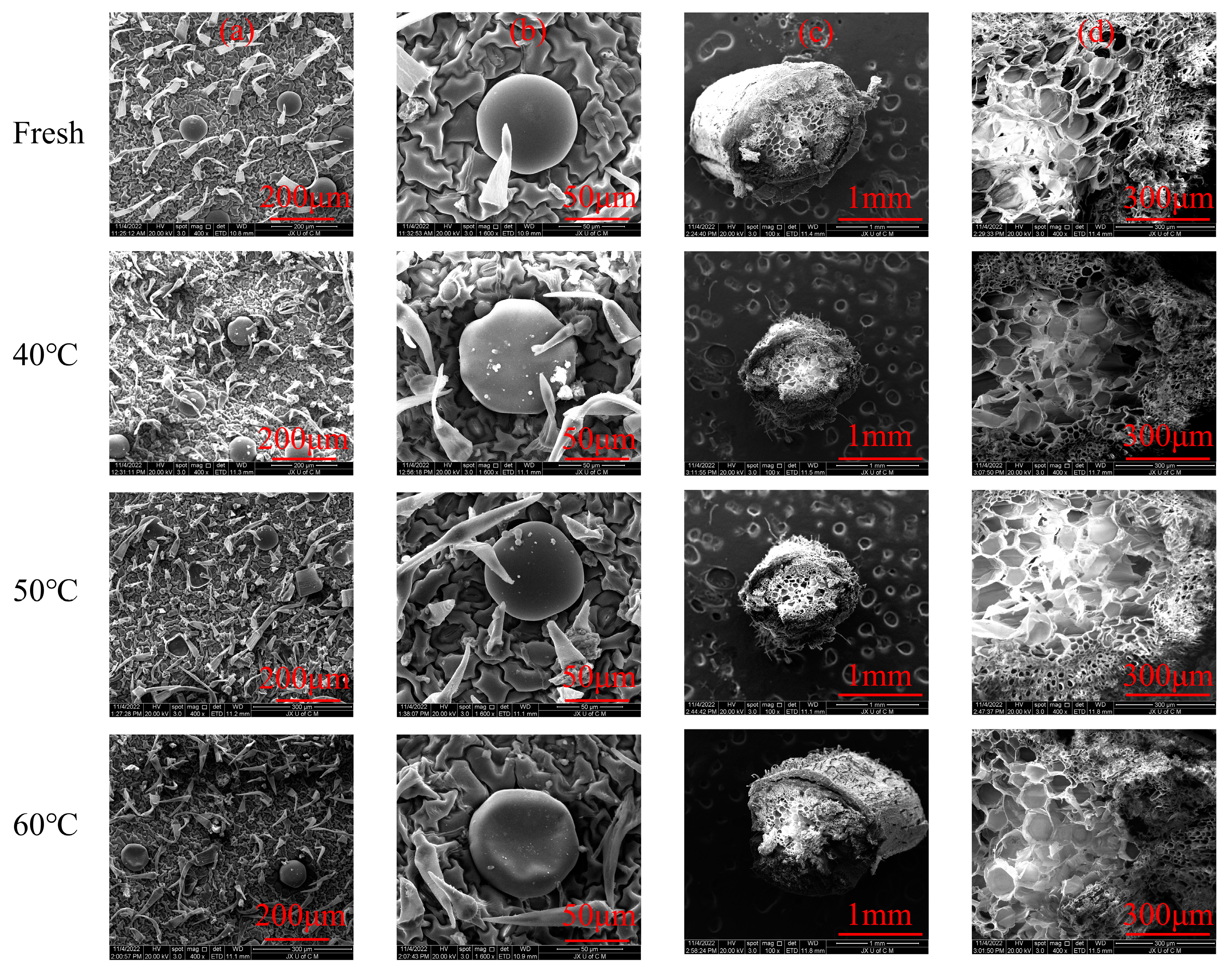 Molecules 28 03898 g002 Molecules 28 03898 g002