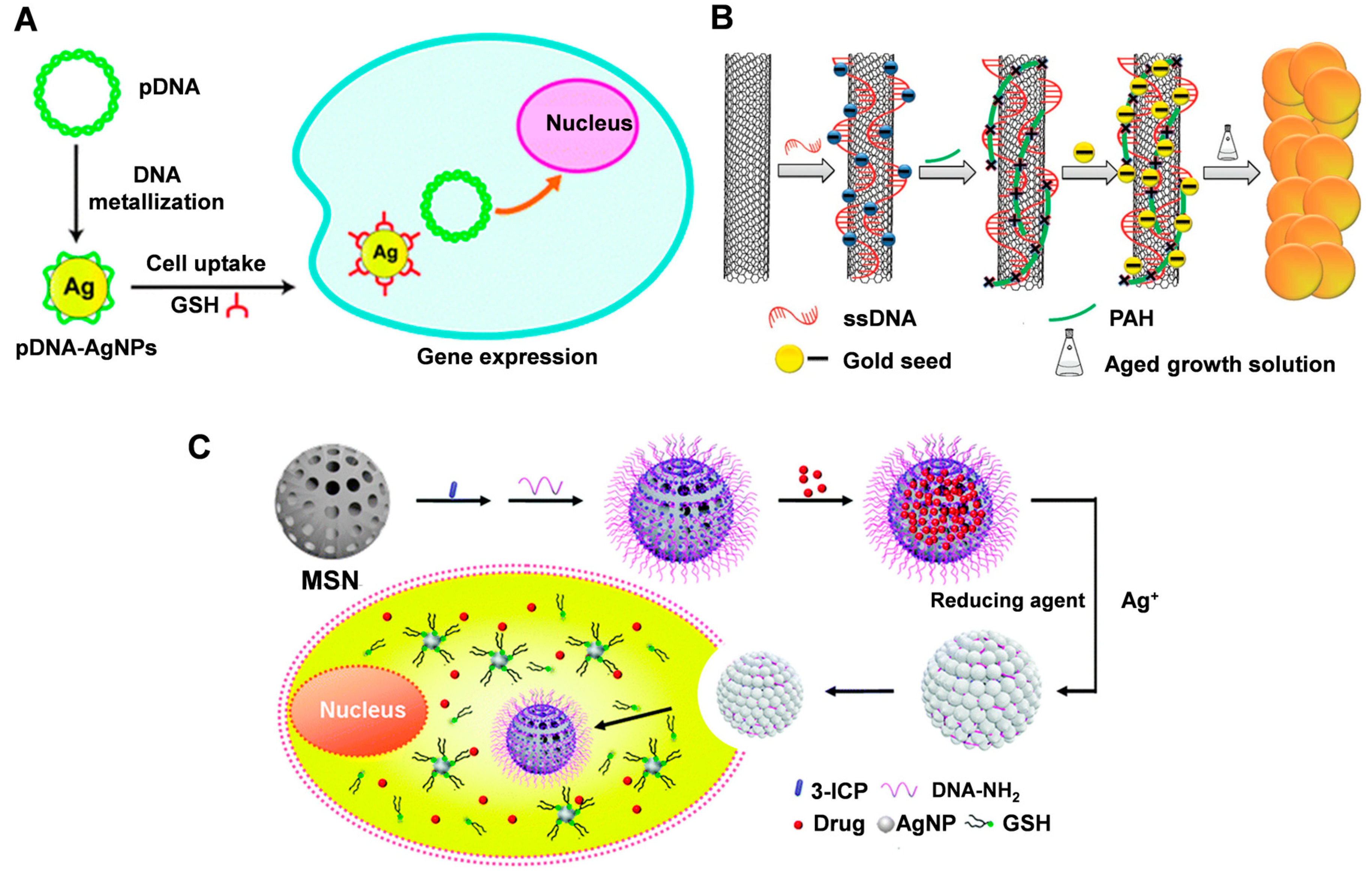 Molecules 28 03922 g006 Molecules 28 03922 g006