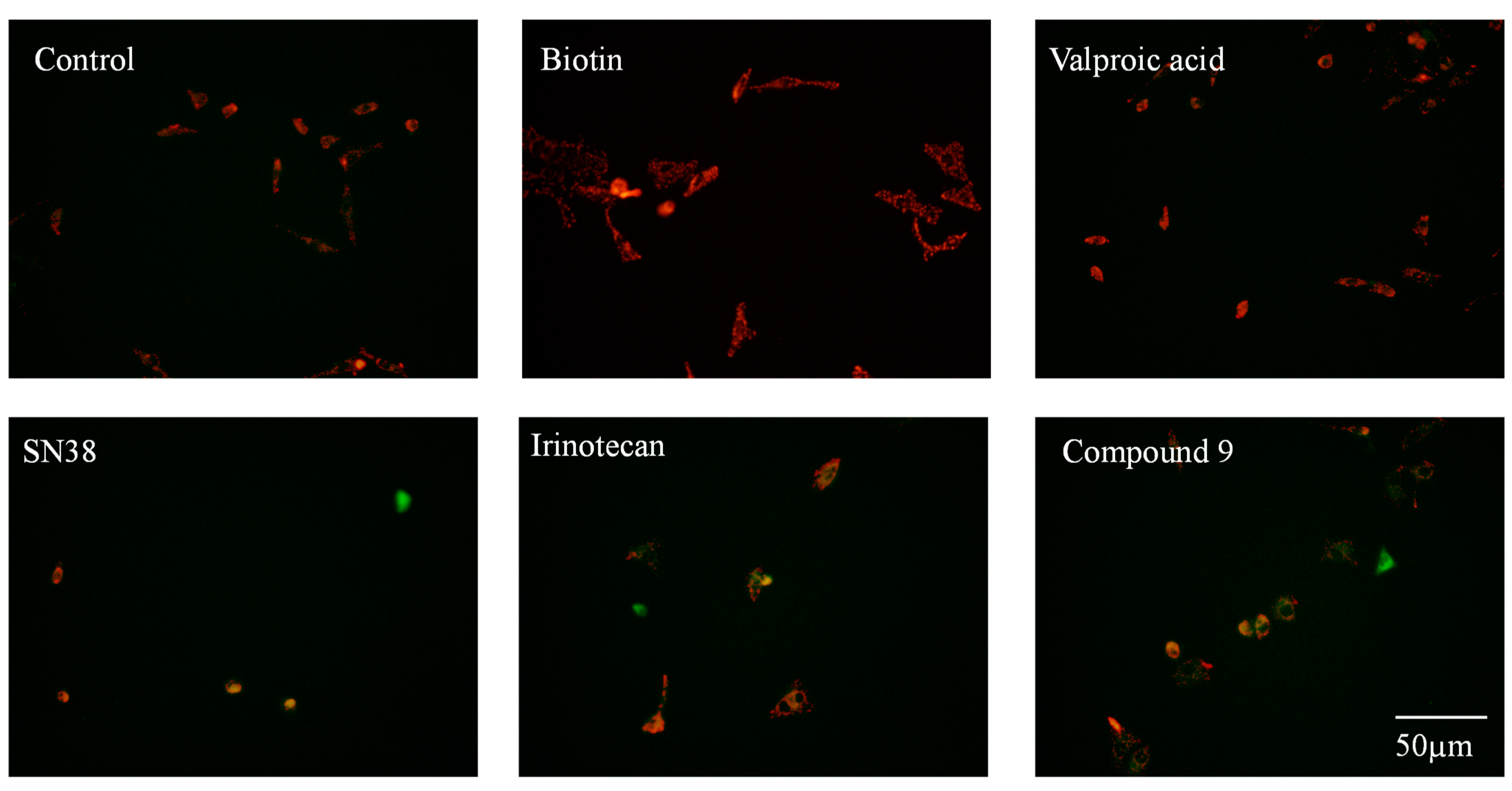 Molecules 28 03936 g002 Molecules 28 03936 g002