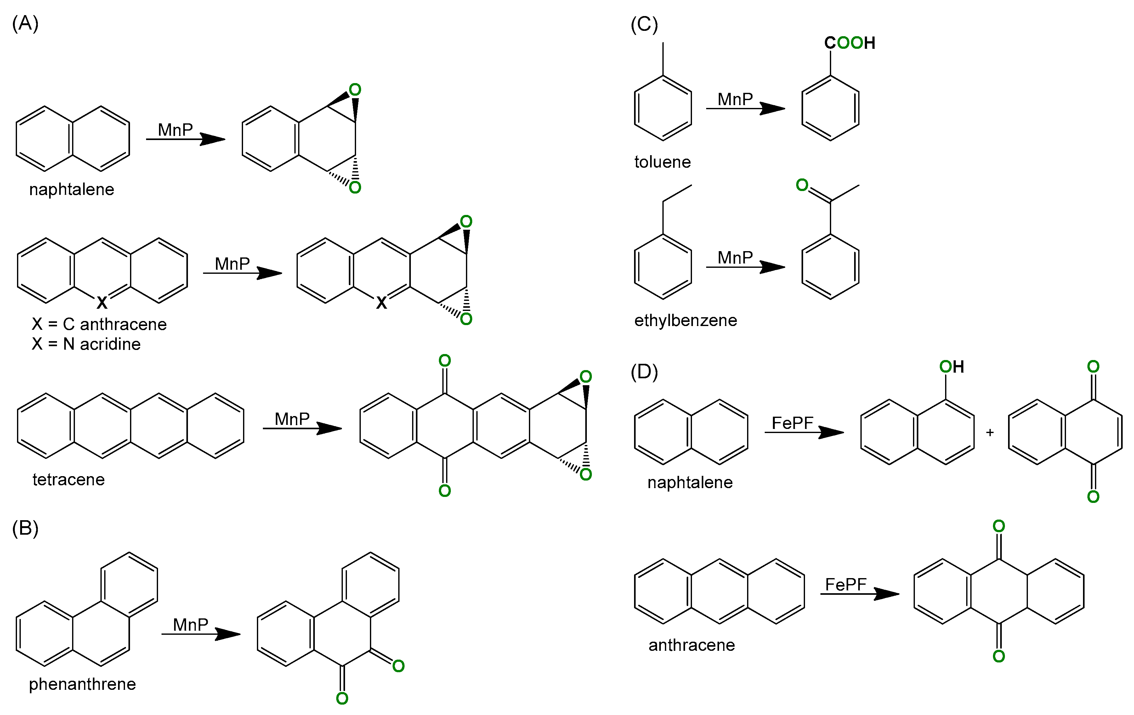 Molecules 28 03940 sch001 Molecules 28 03940 sch001