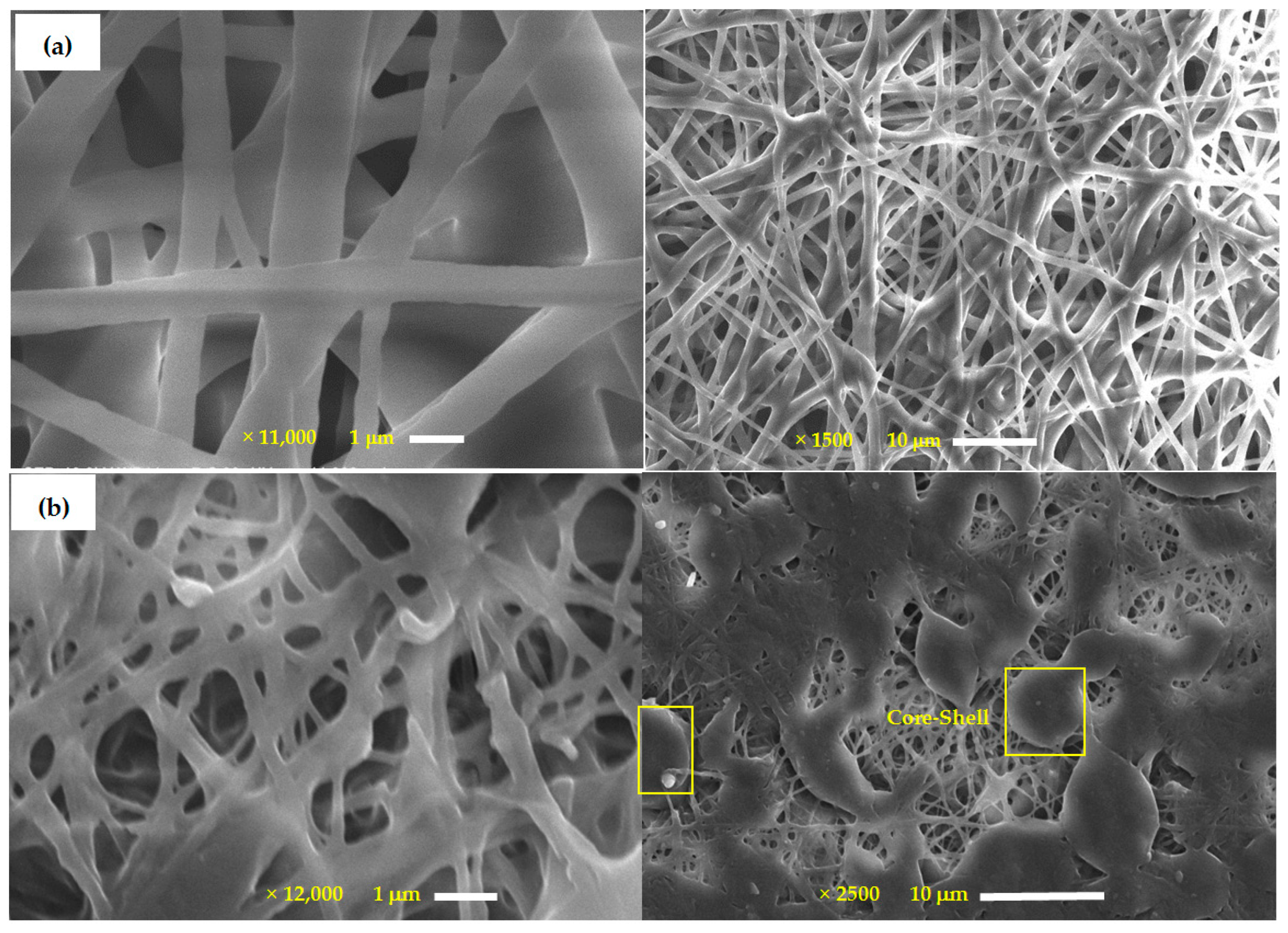 Molecules 28 03951 g003a