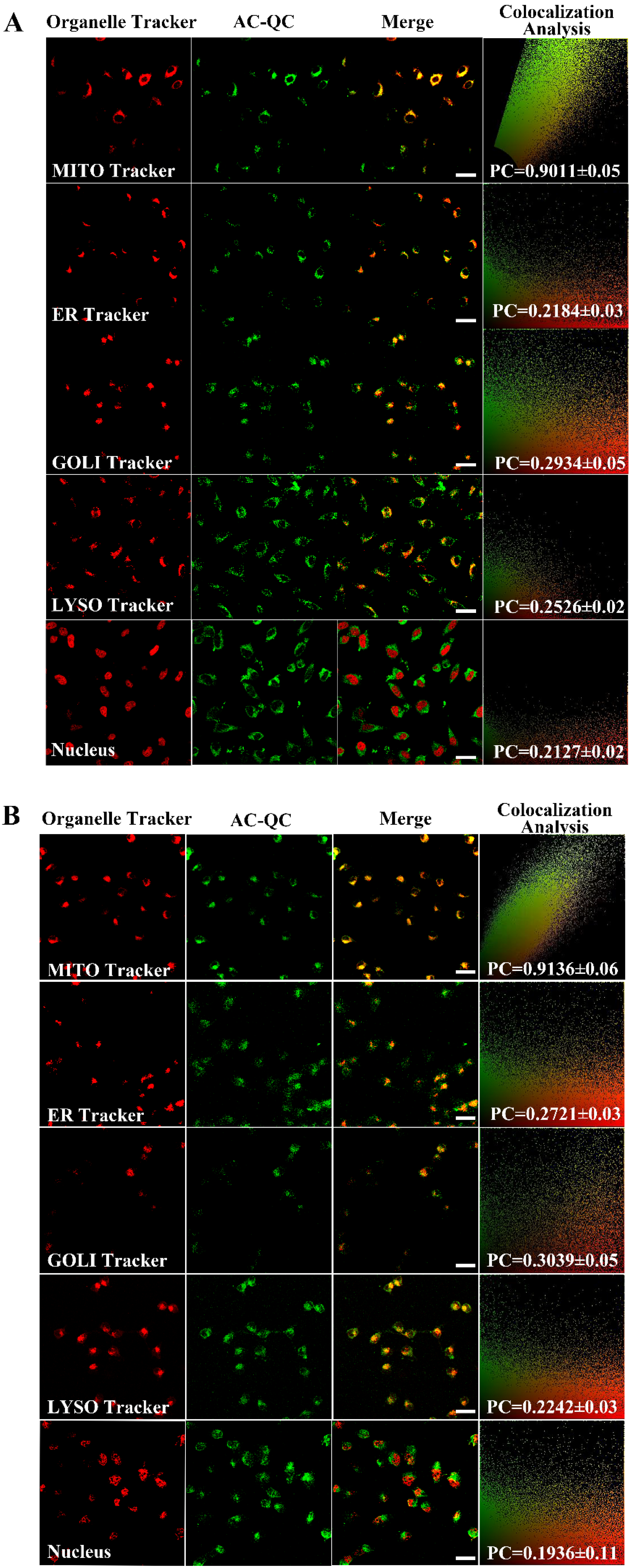 Molecules 28 03962 g005 Molecules 28 03962 g005