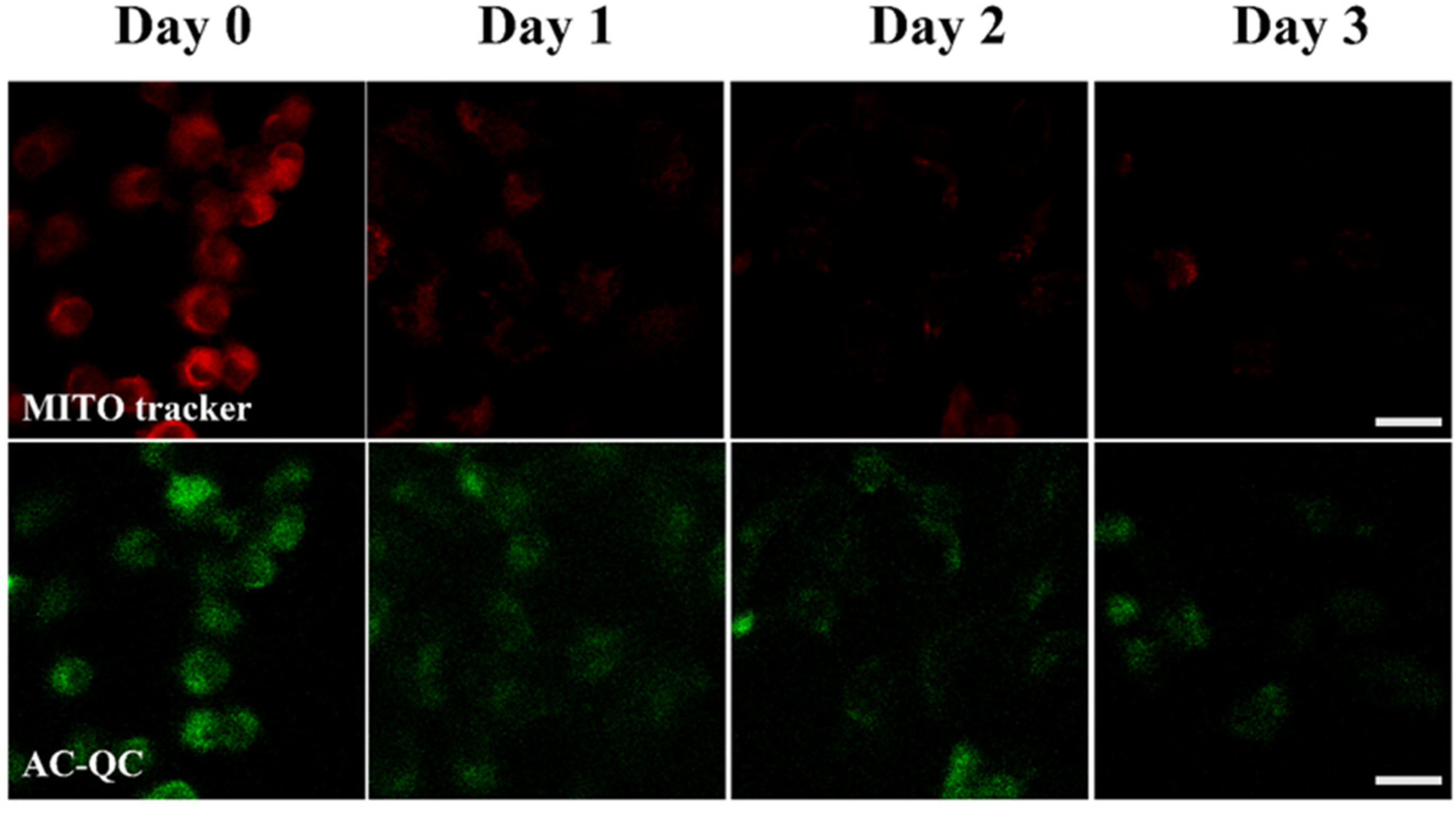 Molecules 28 03962 g007 Molecules 28 03962 g007