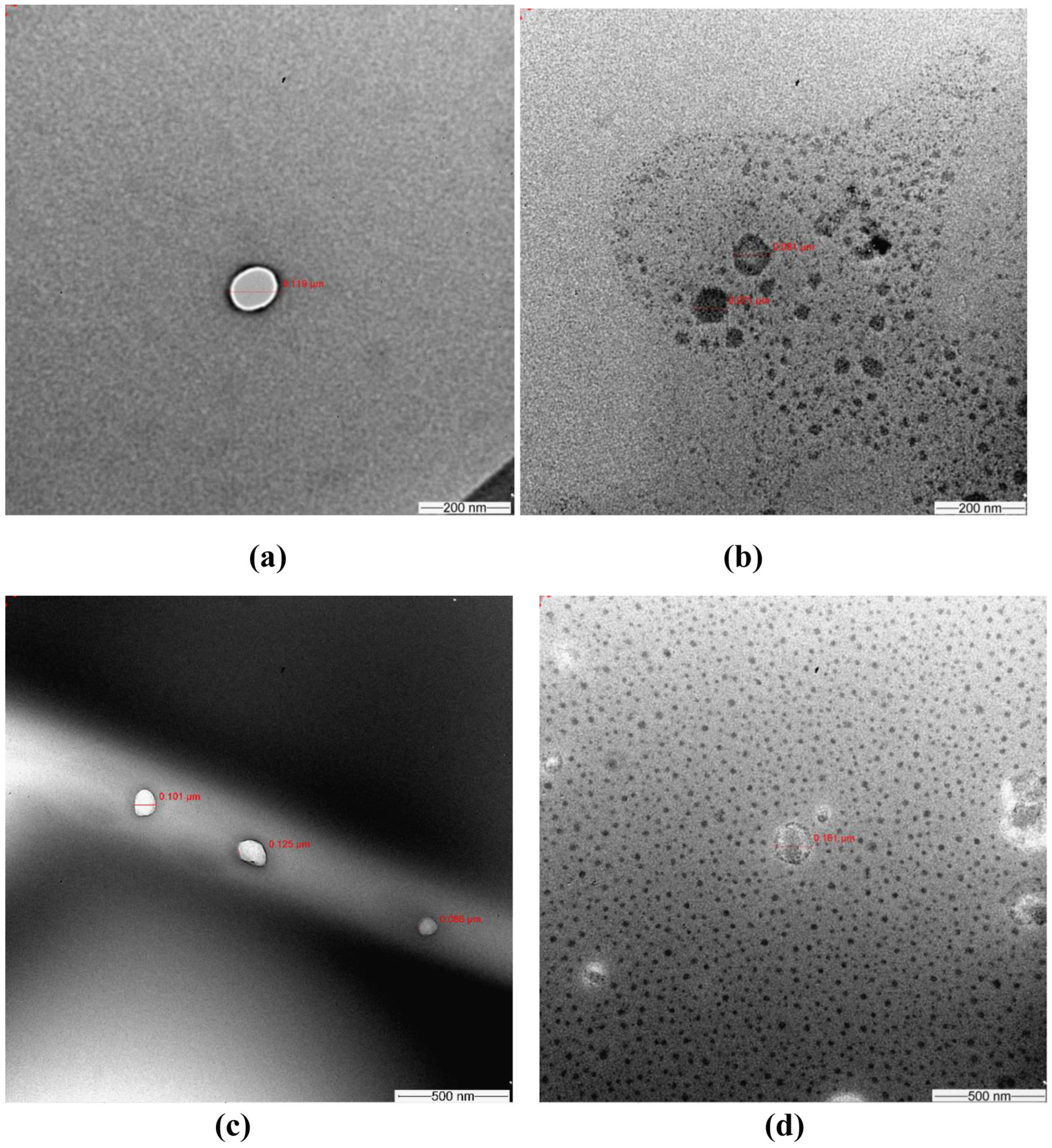 Molecules 28 03974 g001 Molecules 28 03974 g001