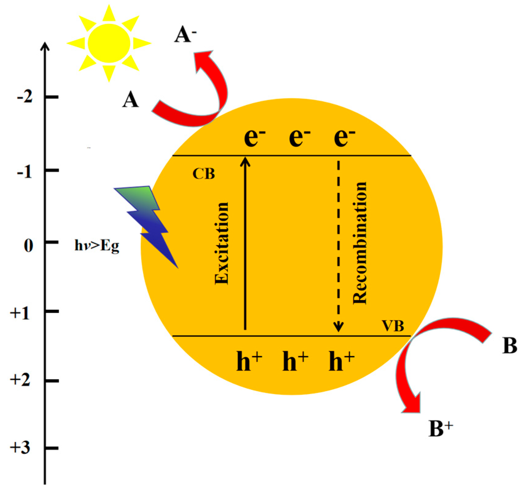 Molecules 28 03982 g001