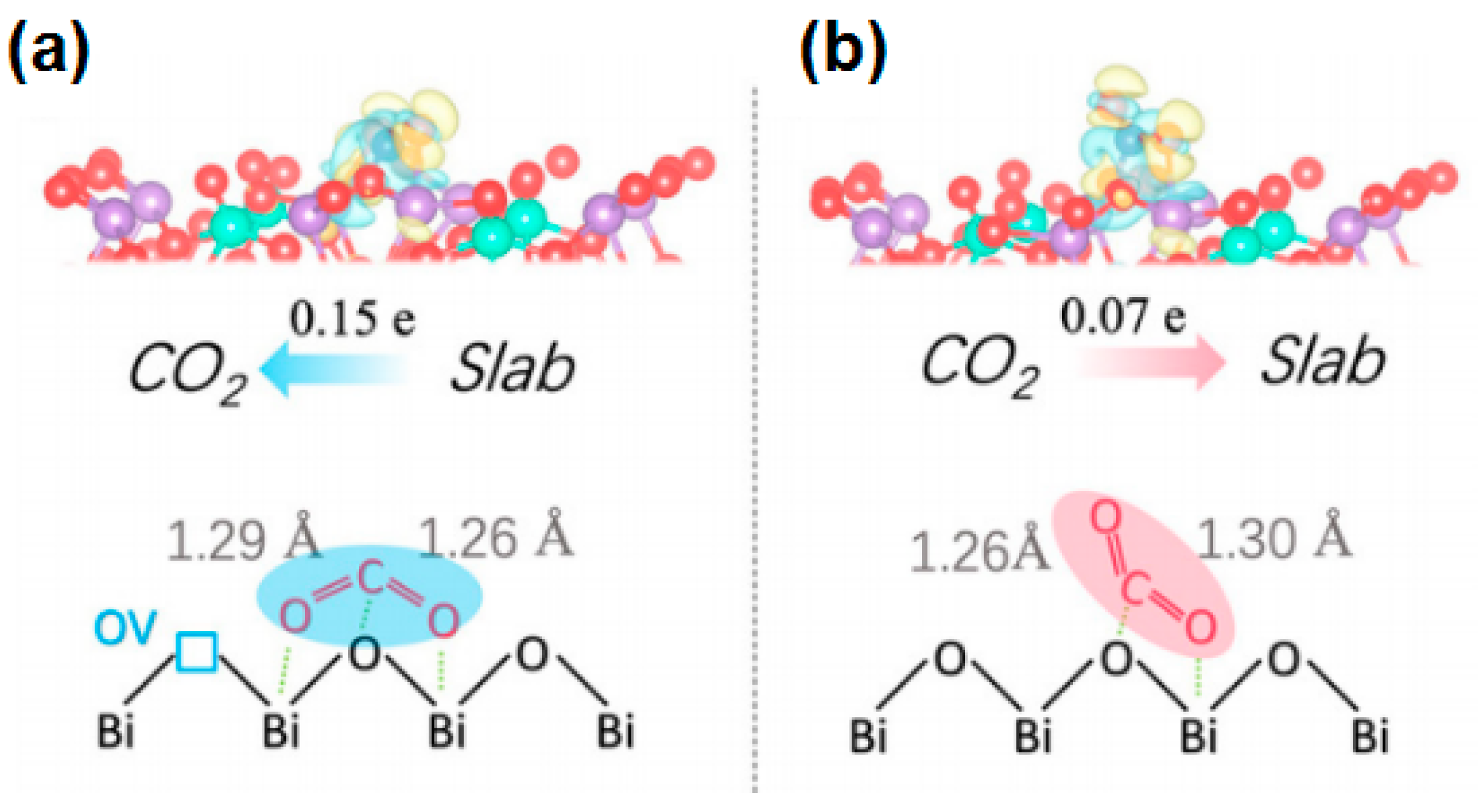 Molecules 28 03982 g004
