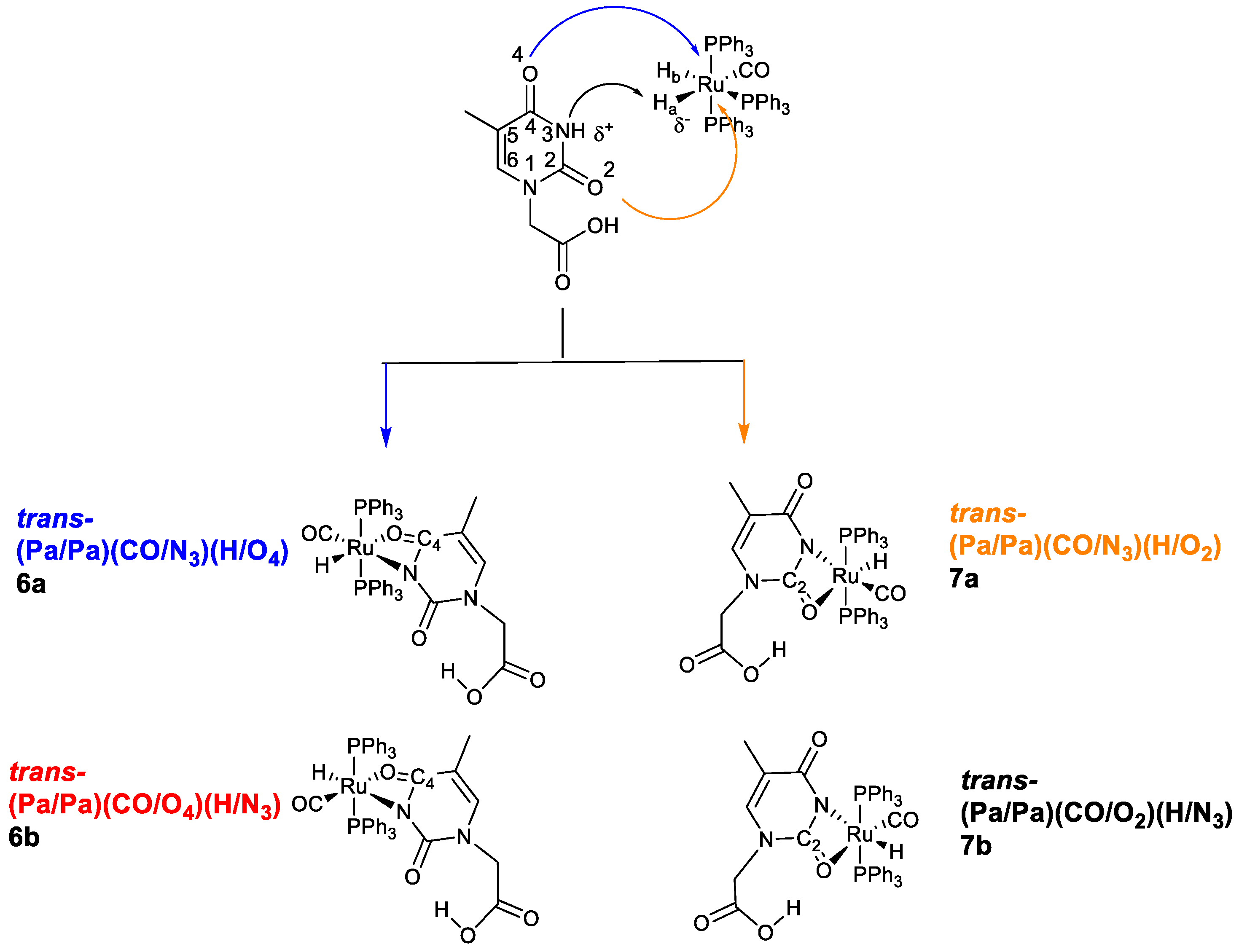 Molecules 28 03983 sch001