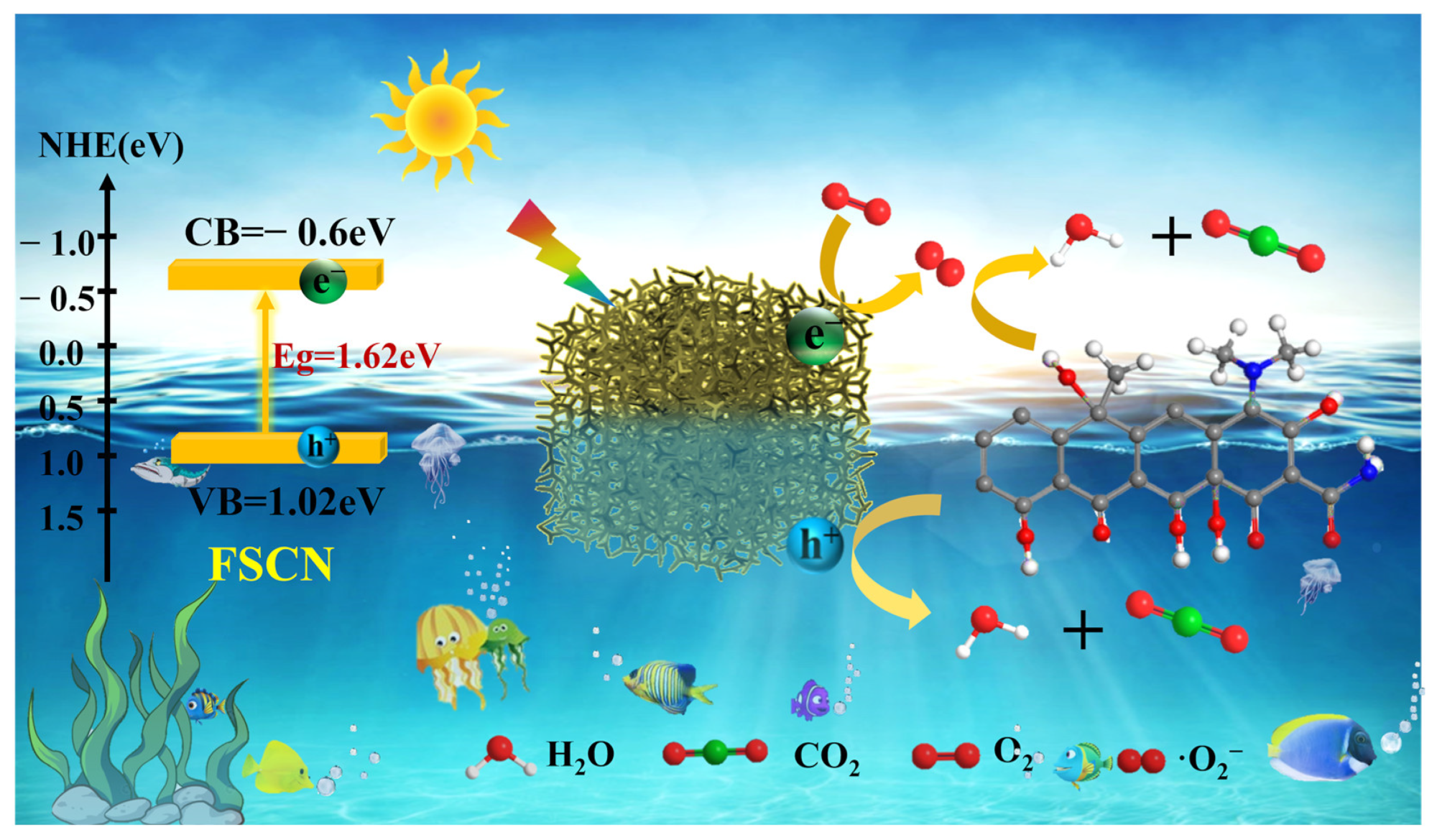 Molecules 28 03989 g009 Molecules 28 03989 g009