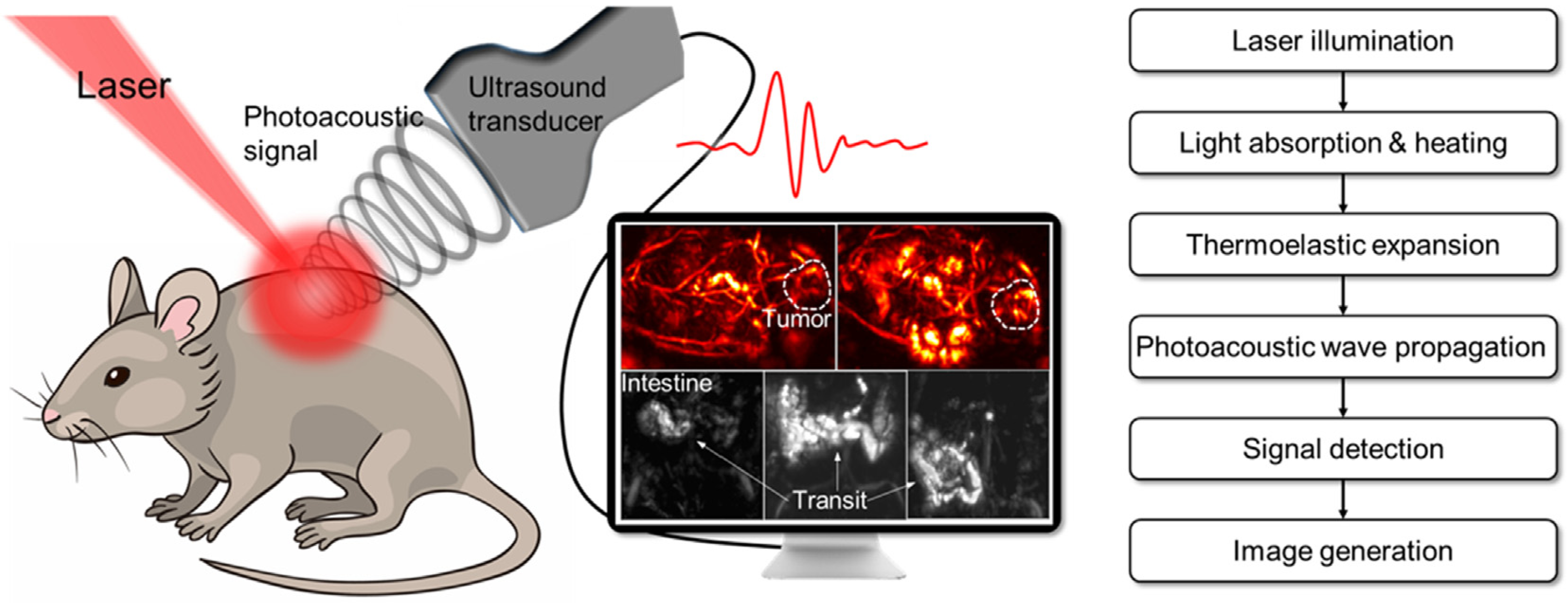 Molecules 28 03992 g005