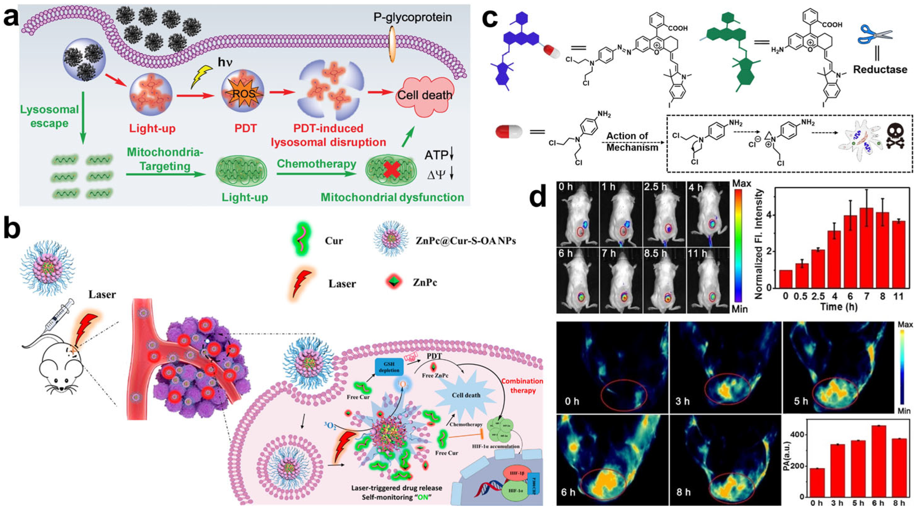 Molecules 28 03992 g006