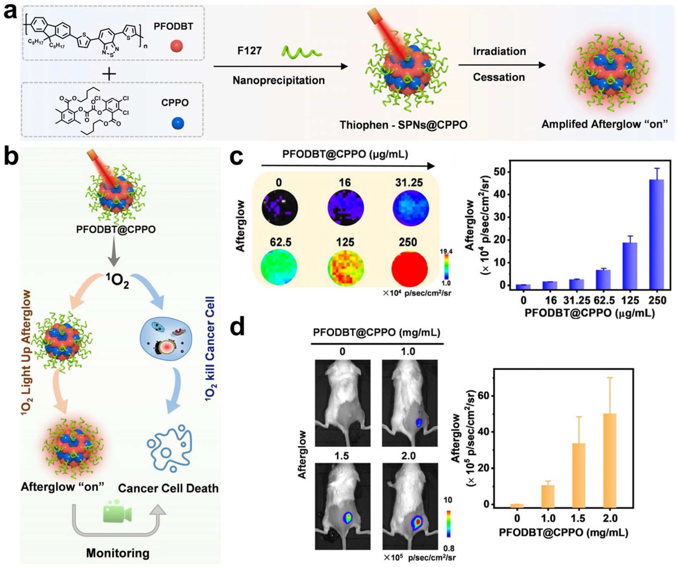 Molecules 28 03992 g008