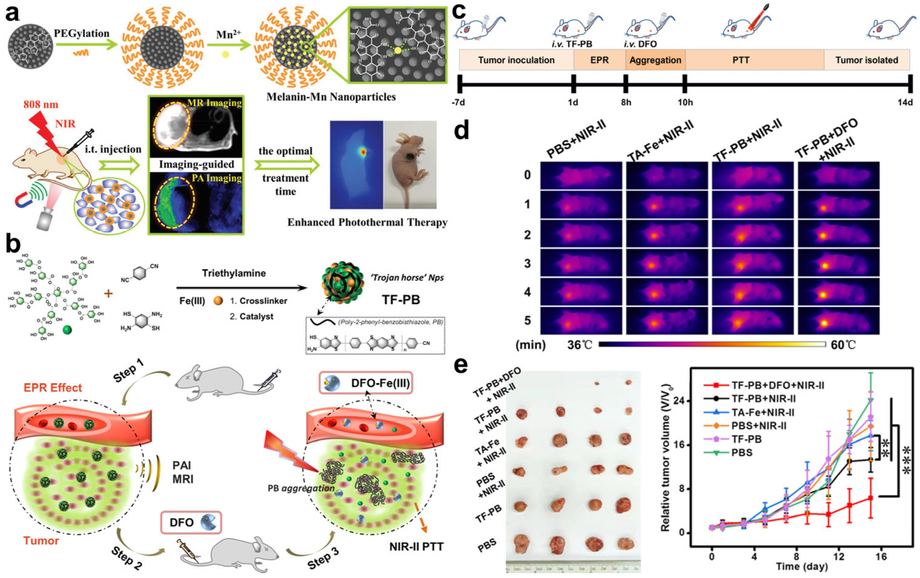 Molecules 28 03992 g013