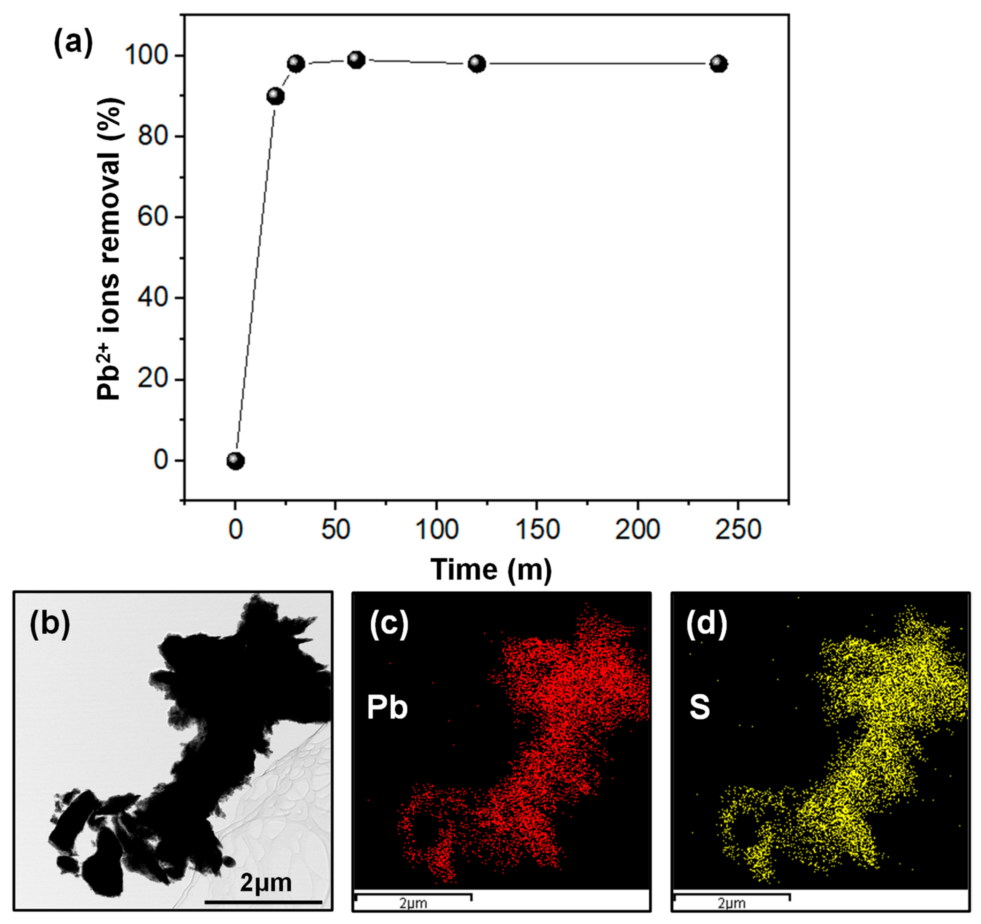 Molecules 28 03998 g007 Molecules 28 03998 g007