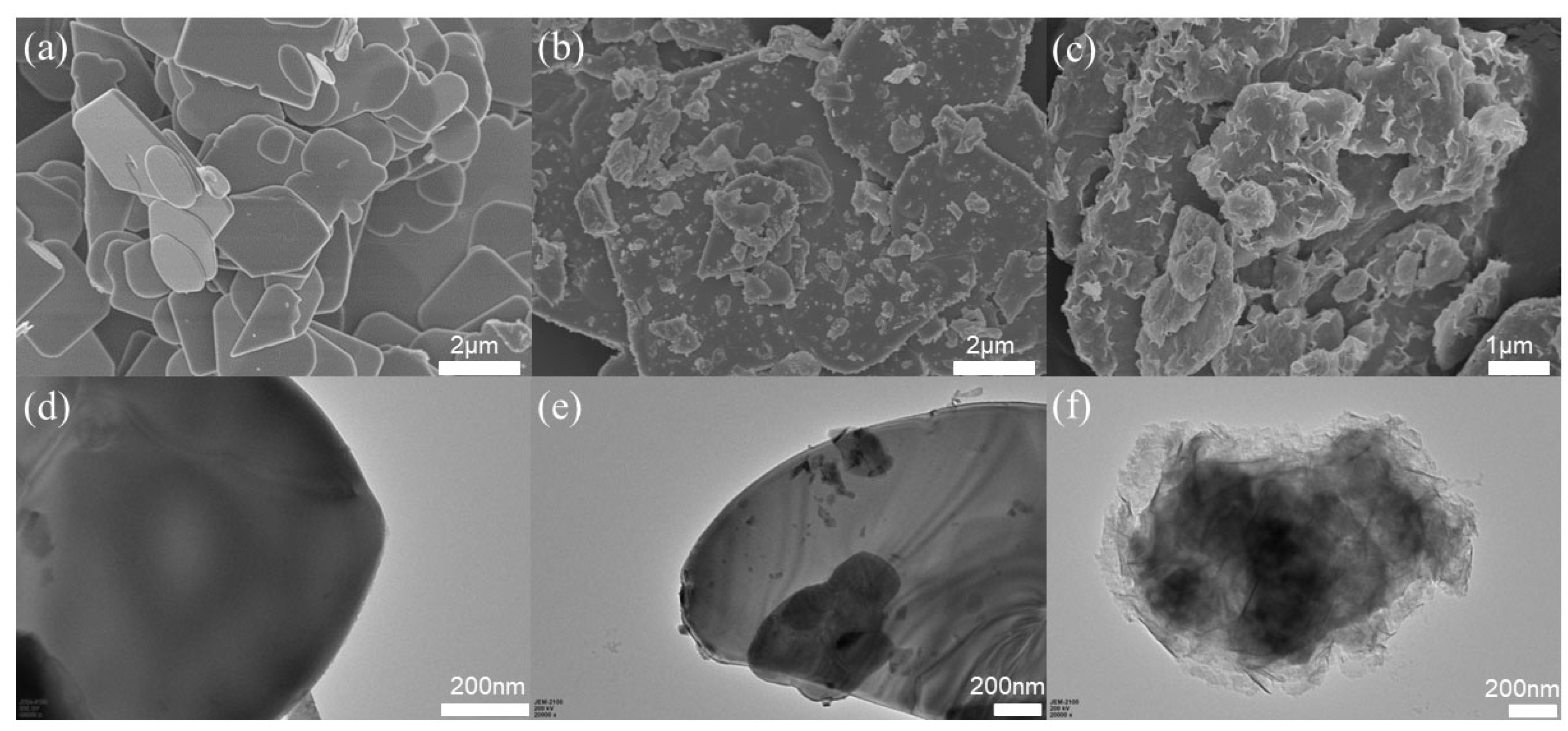 Molecules 28 04057 g001