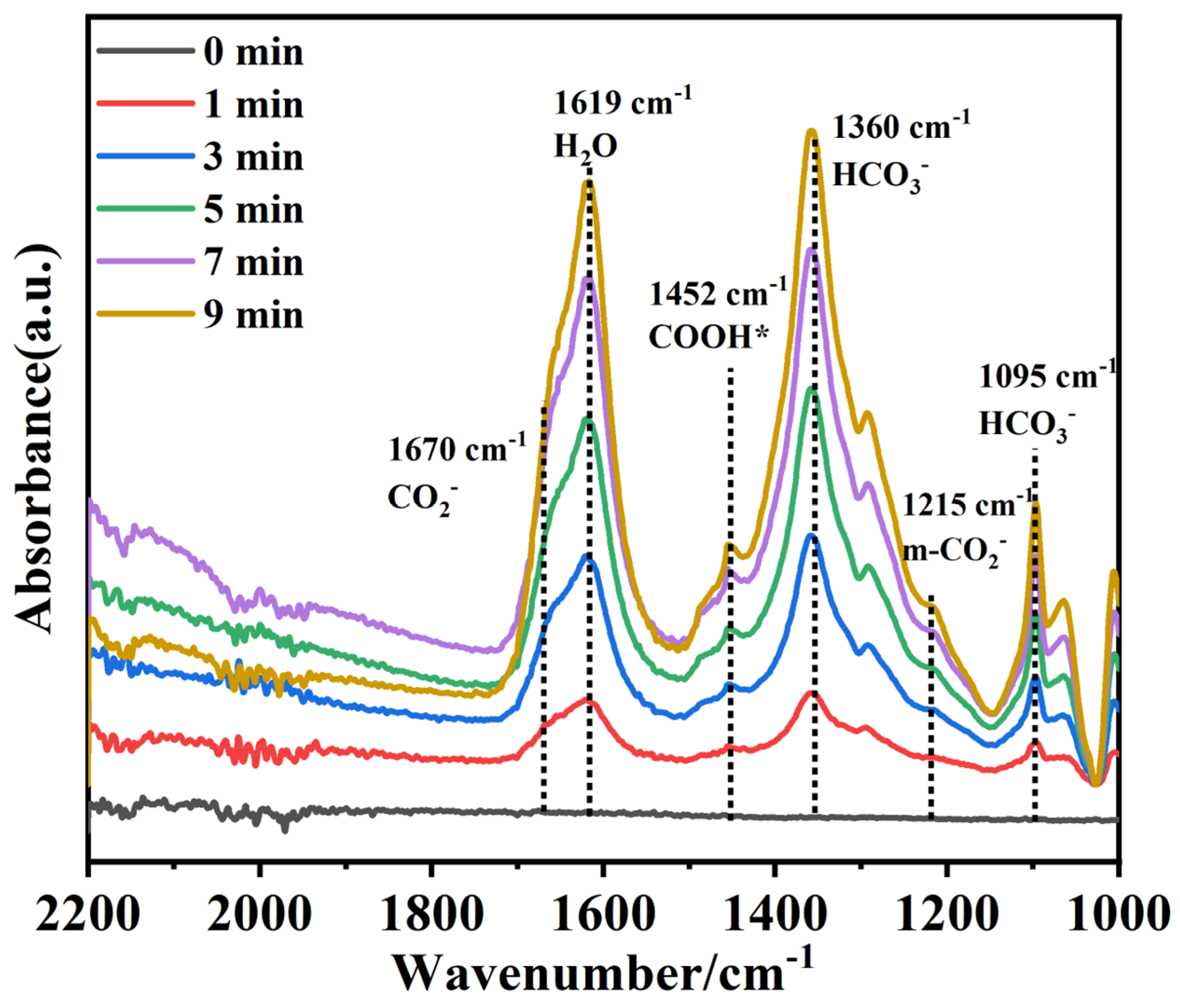 Molecules 28 04057 g007