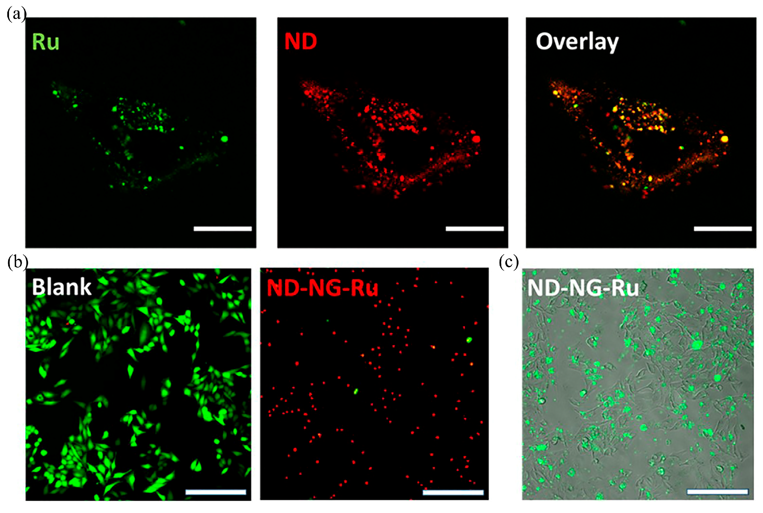 Molecules 28 04063 g002