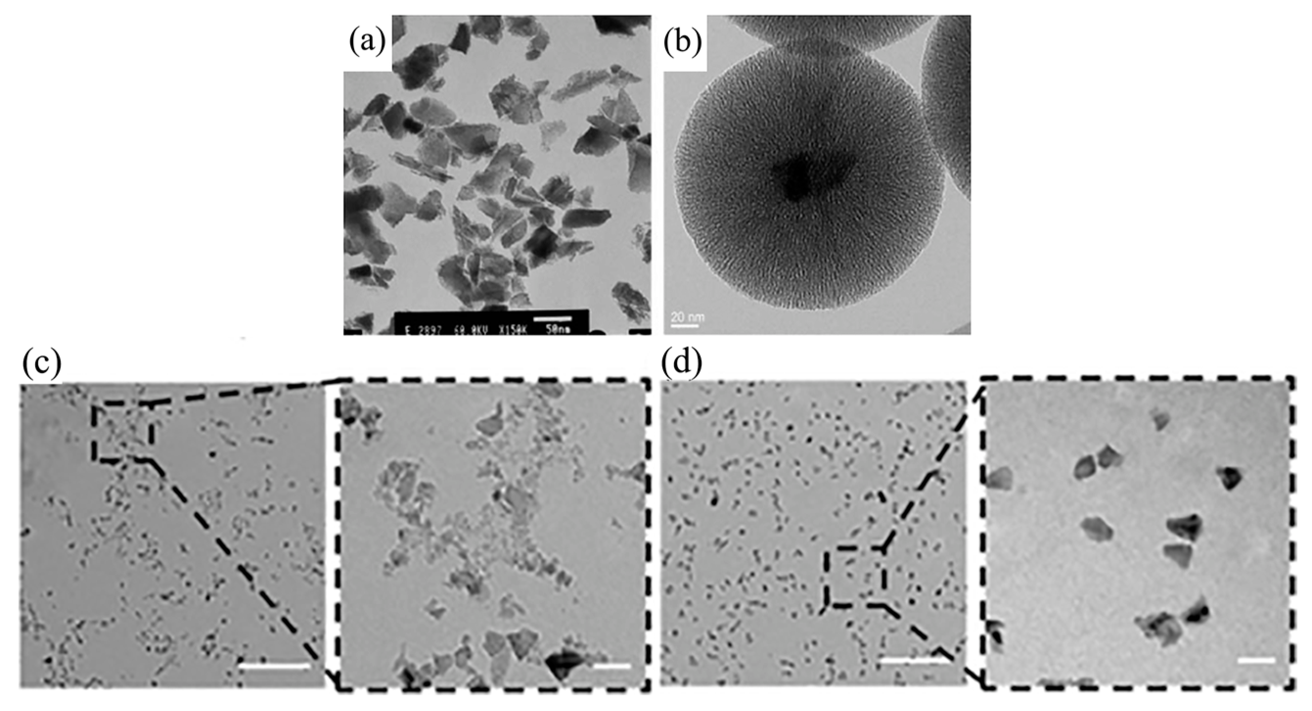 Molecules 28 04063 g003