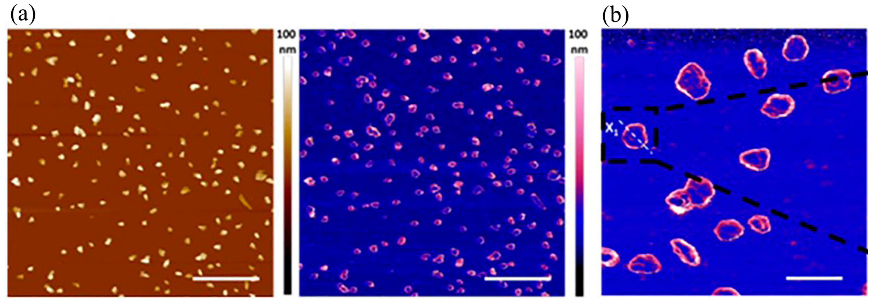 Molecules 28 04063 g005