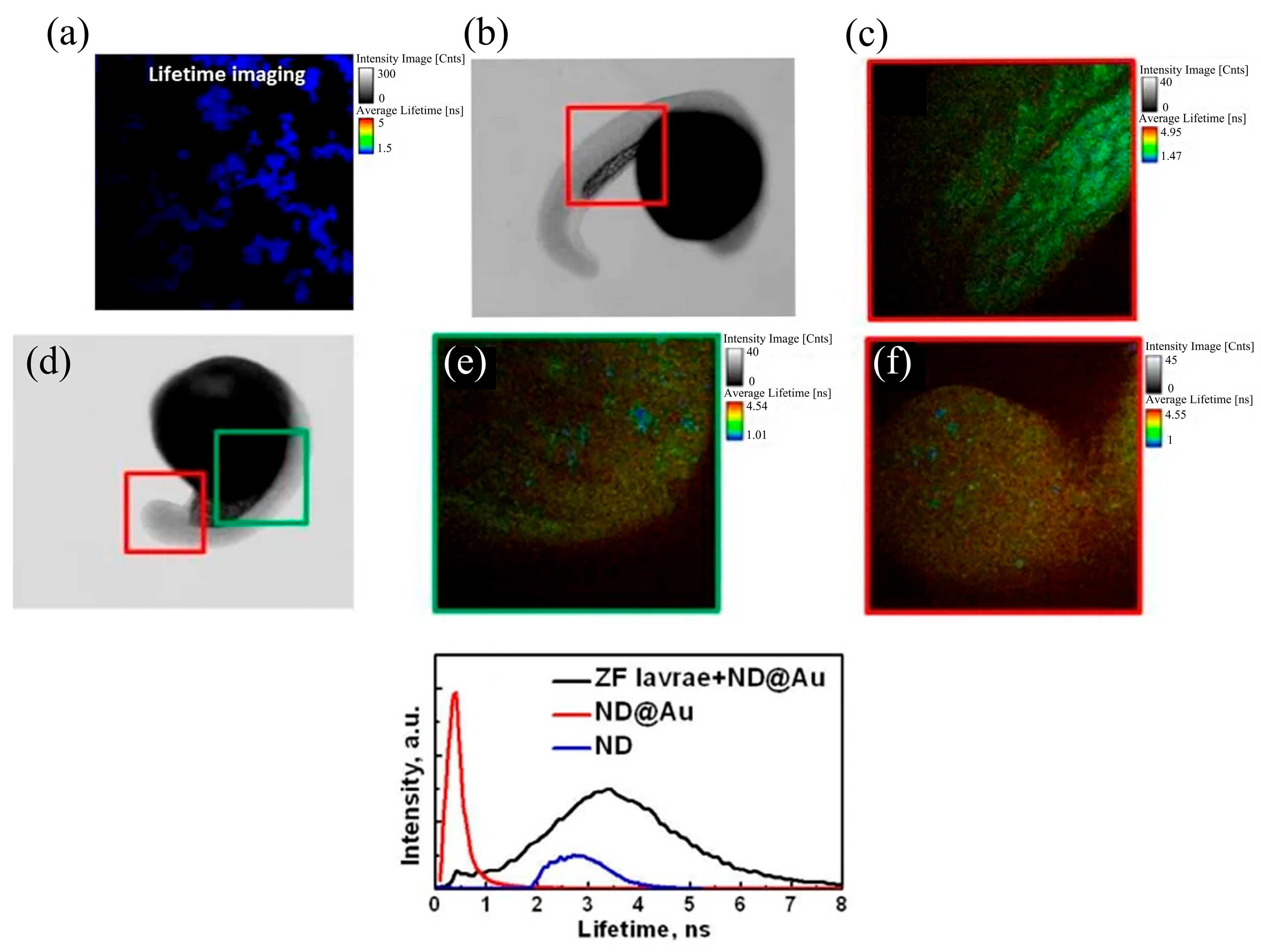 Molecules 28 04063 g006