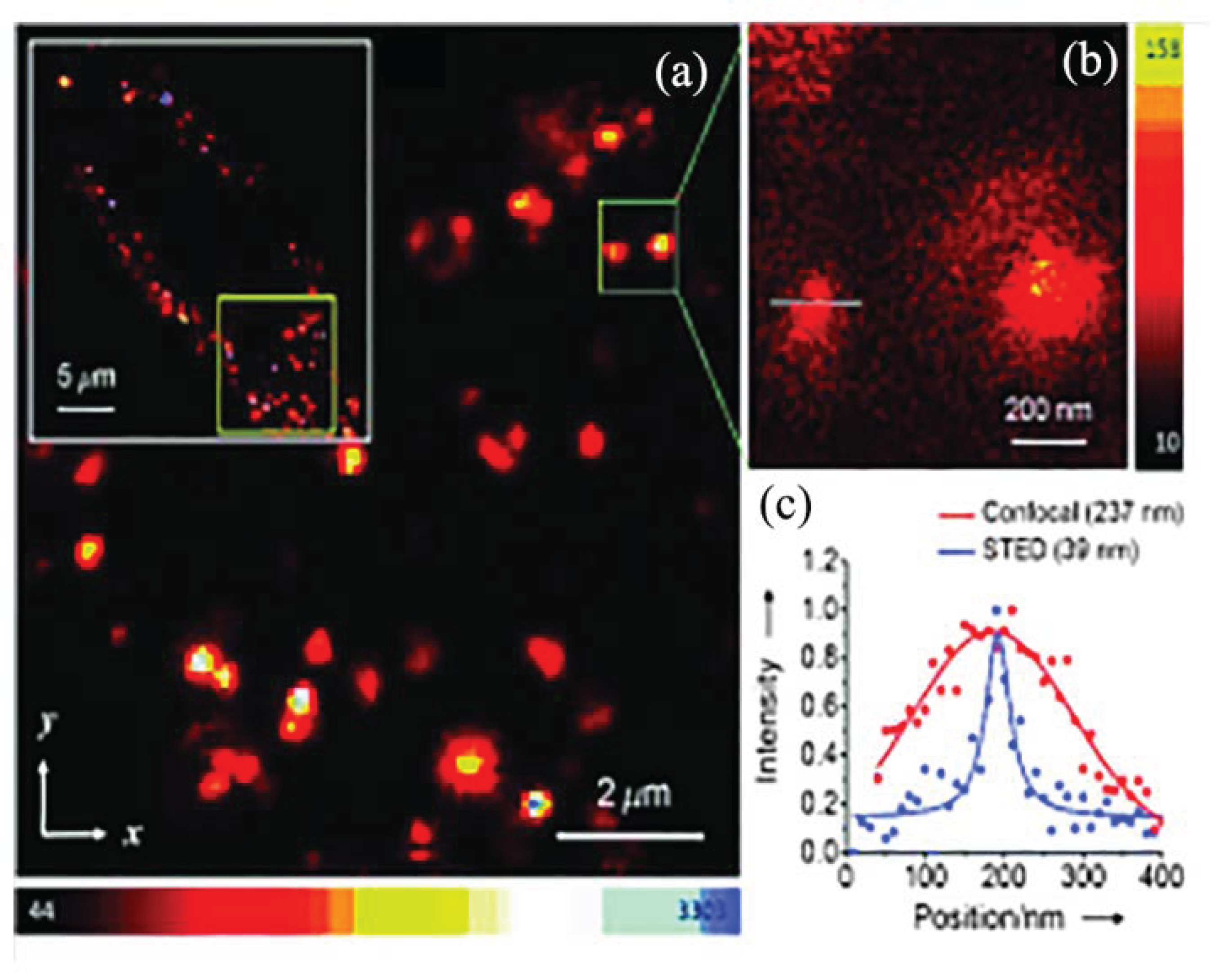 Molecules 28 04063 g008
