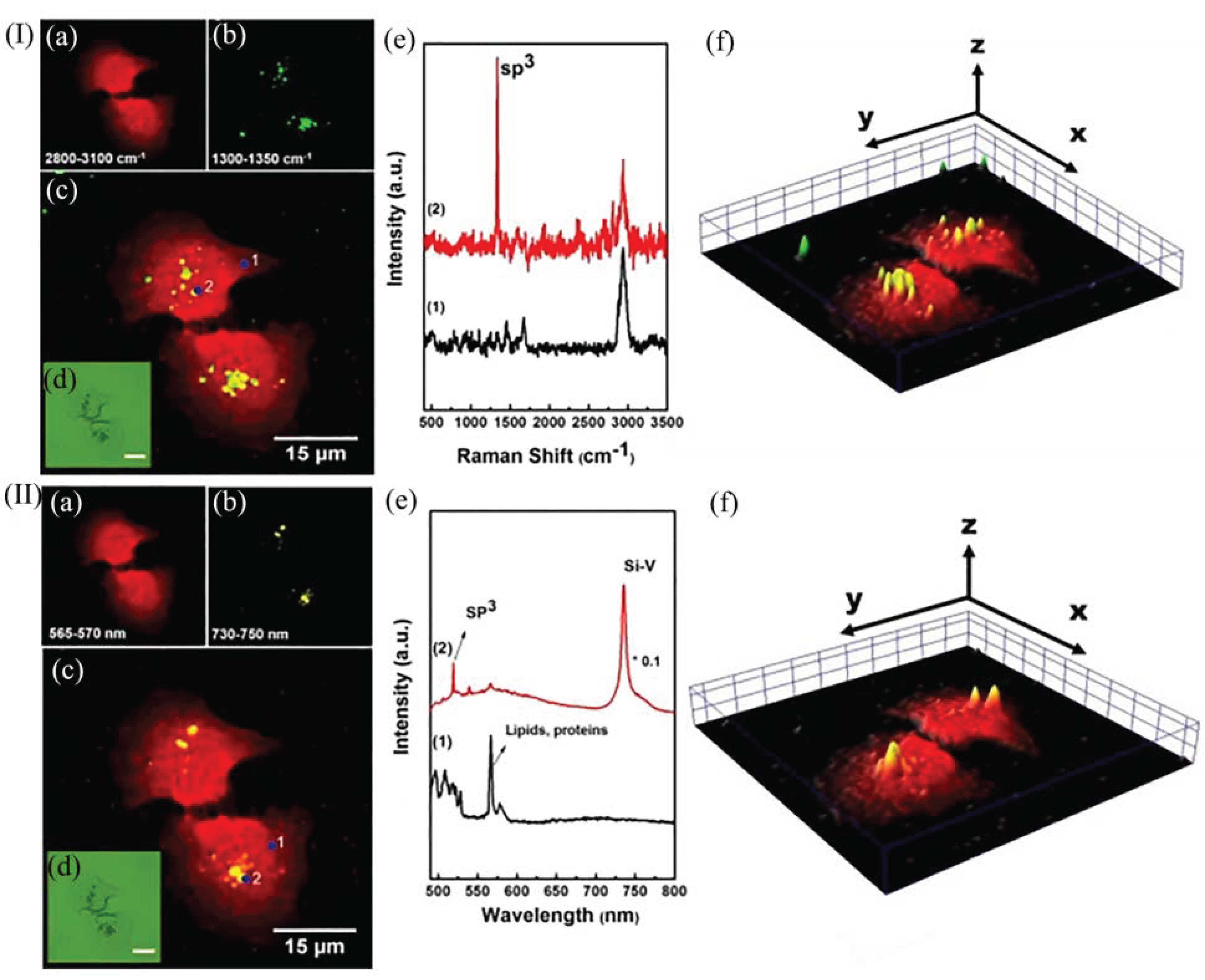 Molecules 28 04063 g010