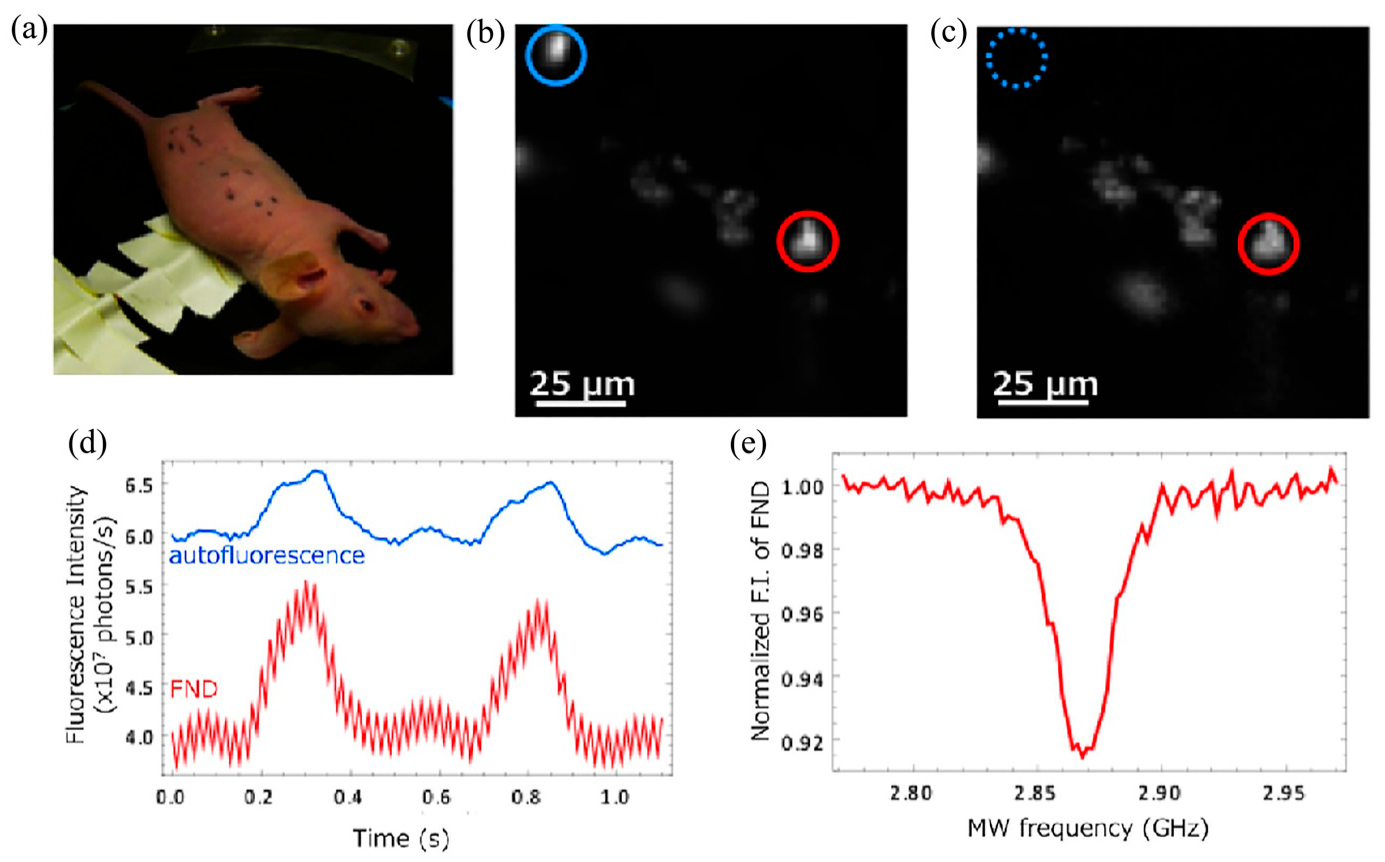 Molecules 28 04063 g012
