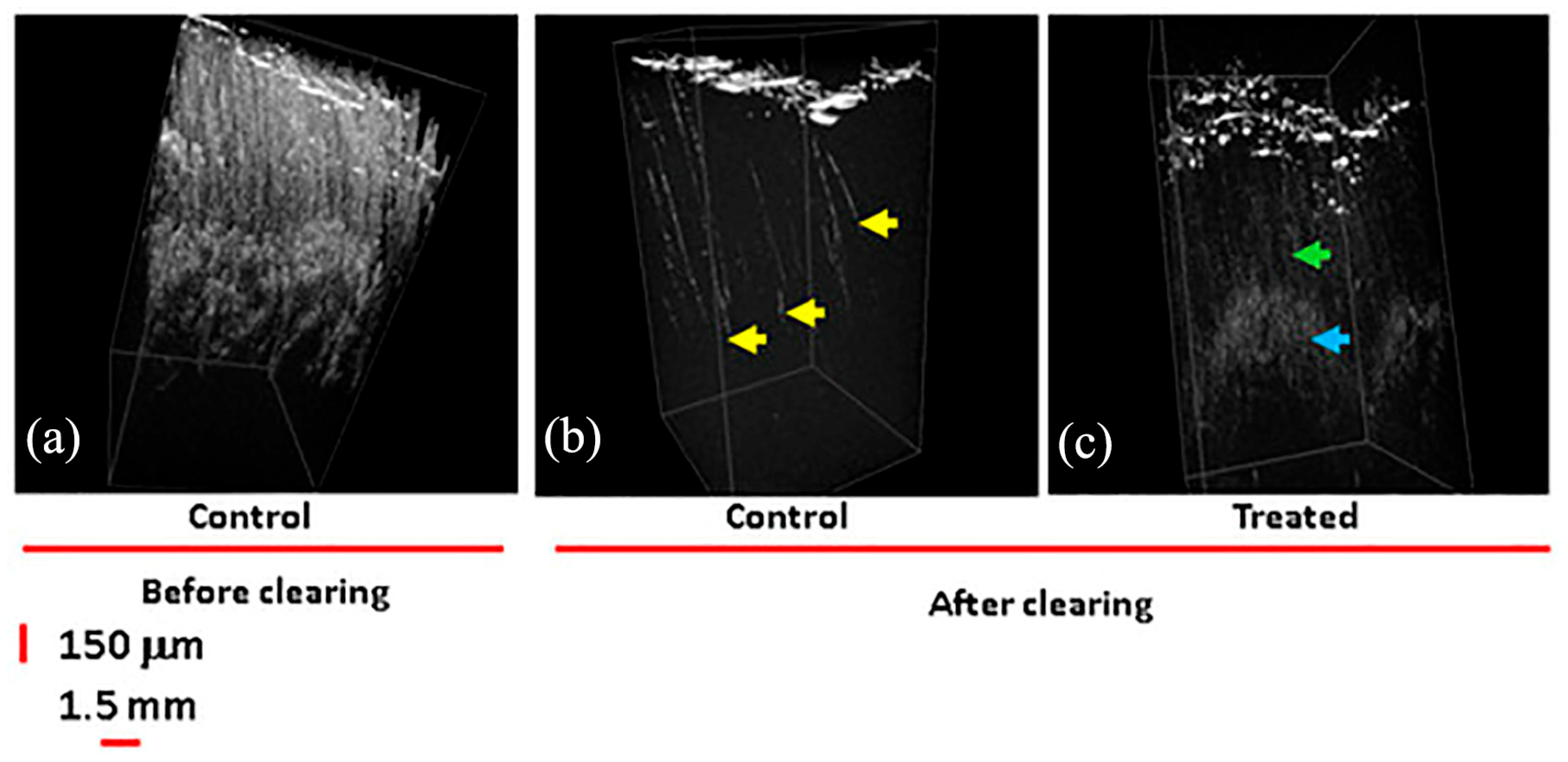Molecules 28 04063 g016