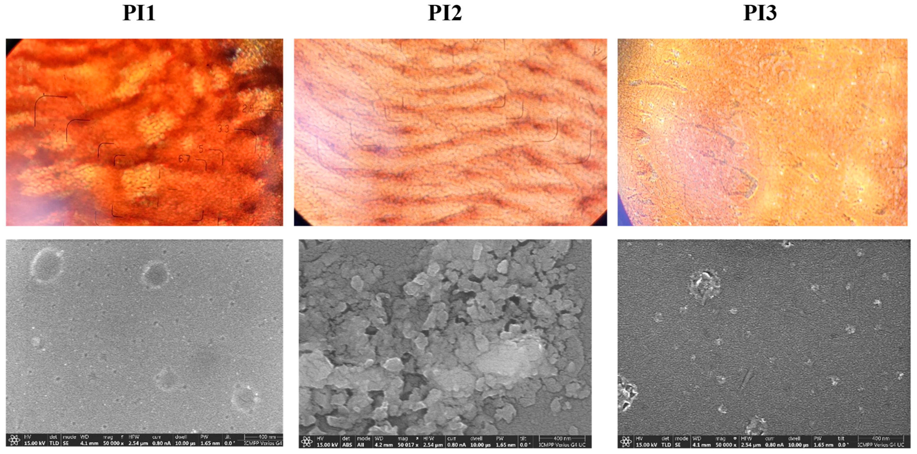 Molecules 28 04072 g004