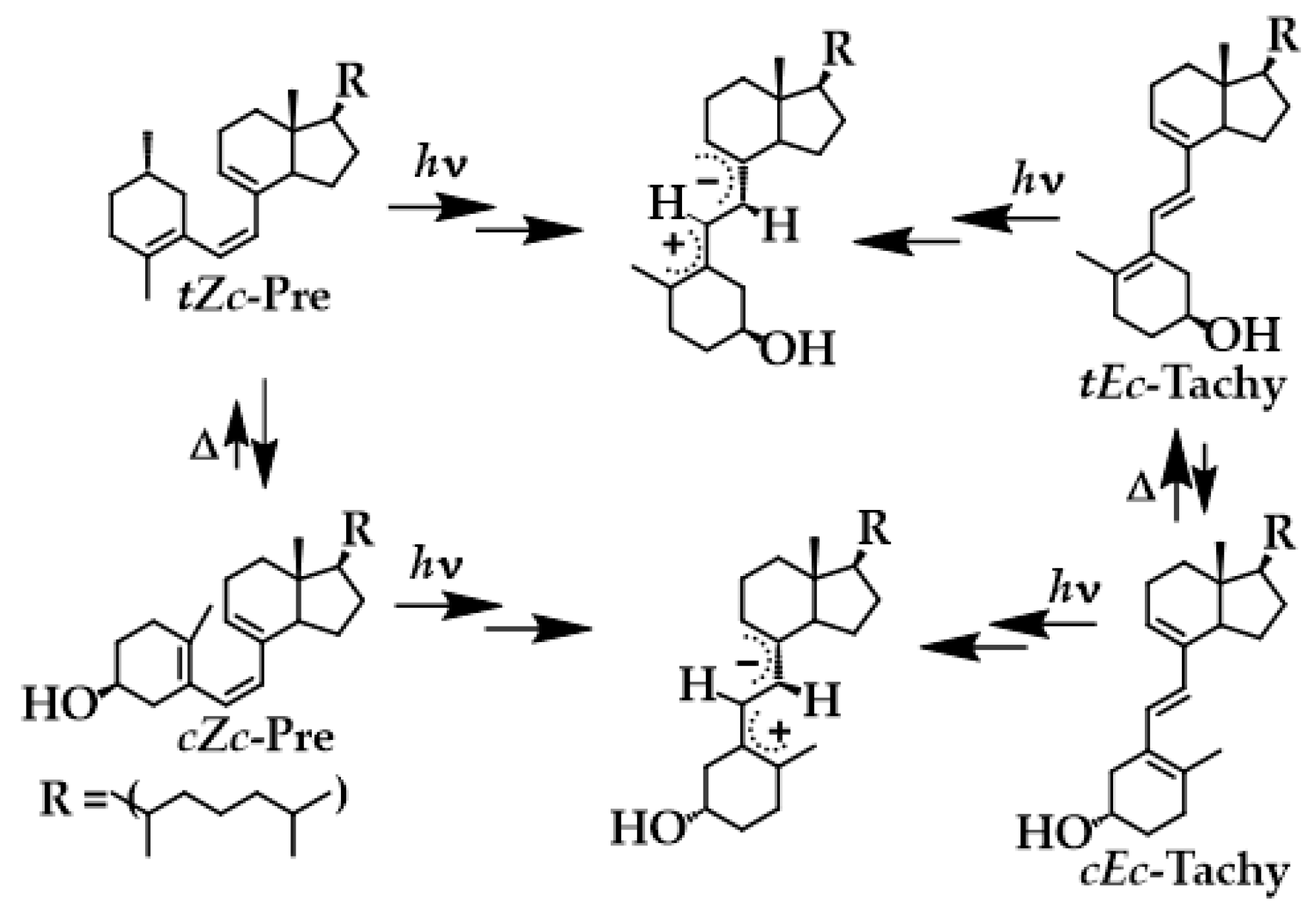 Molecules 28 04086 sch004 Molecules 28 04086 sch004