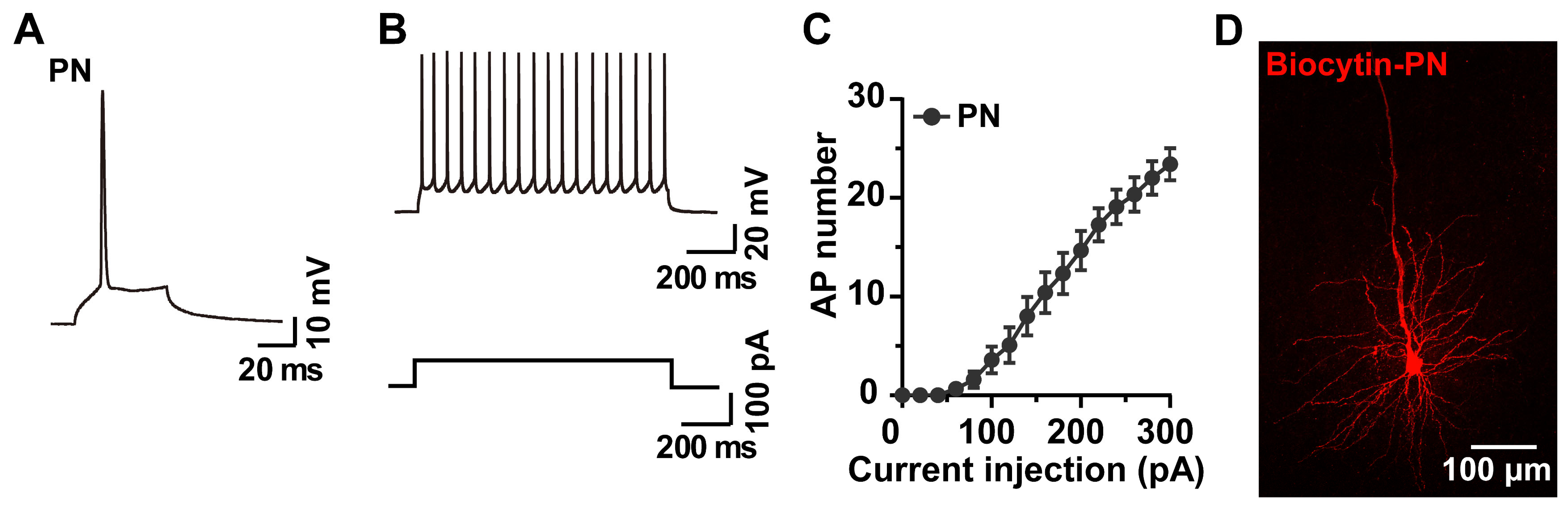 Molecules 28 04092 g004